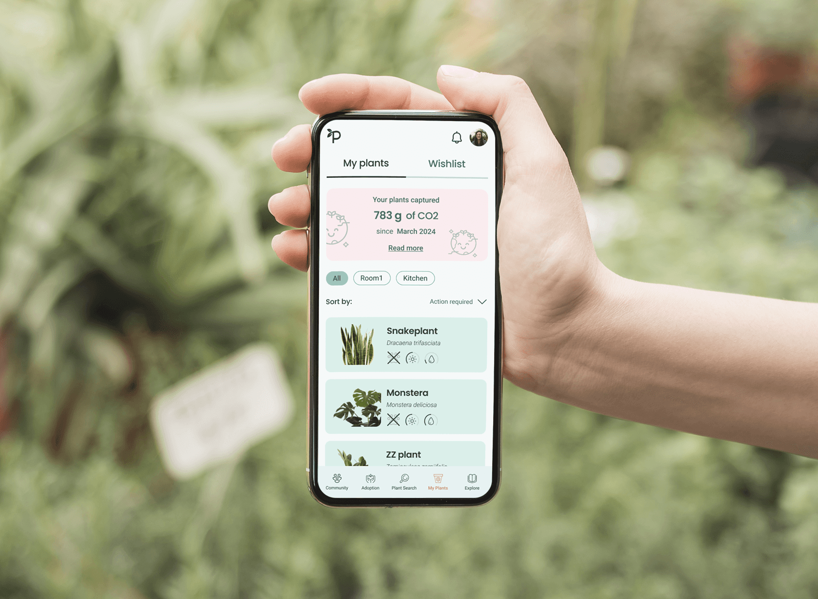 Hand holding a smartphone with Plantify app open, there are plants in the background.