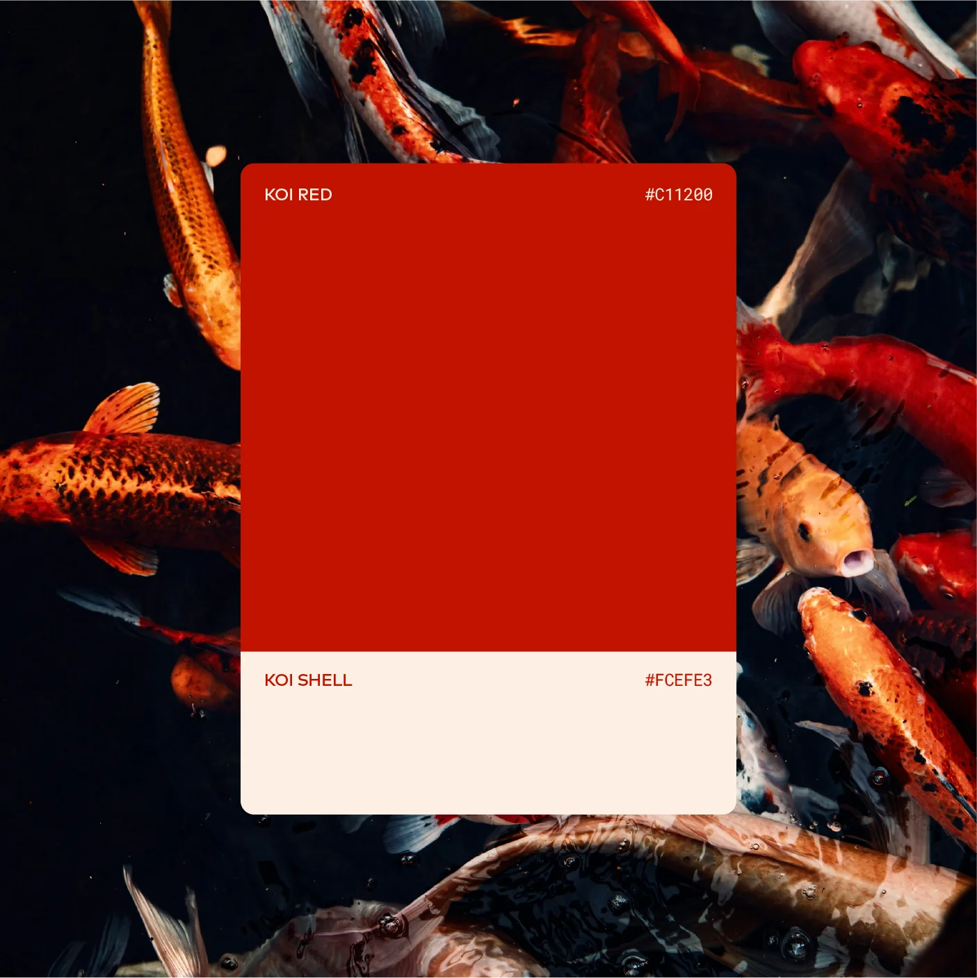 Koi Golf brand strategy