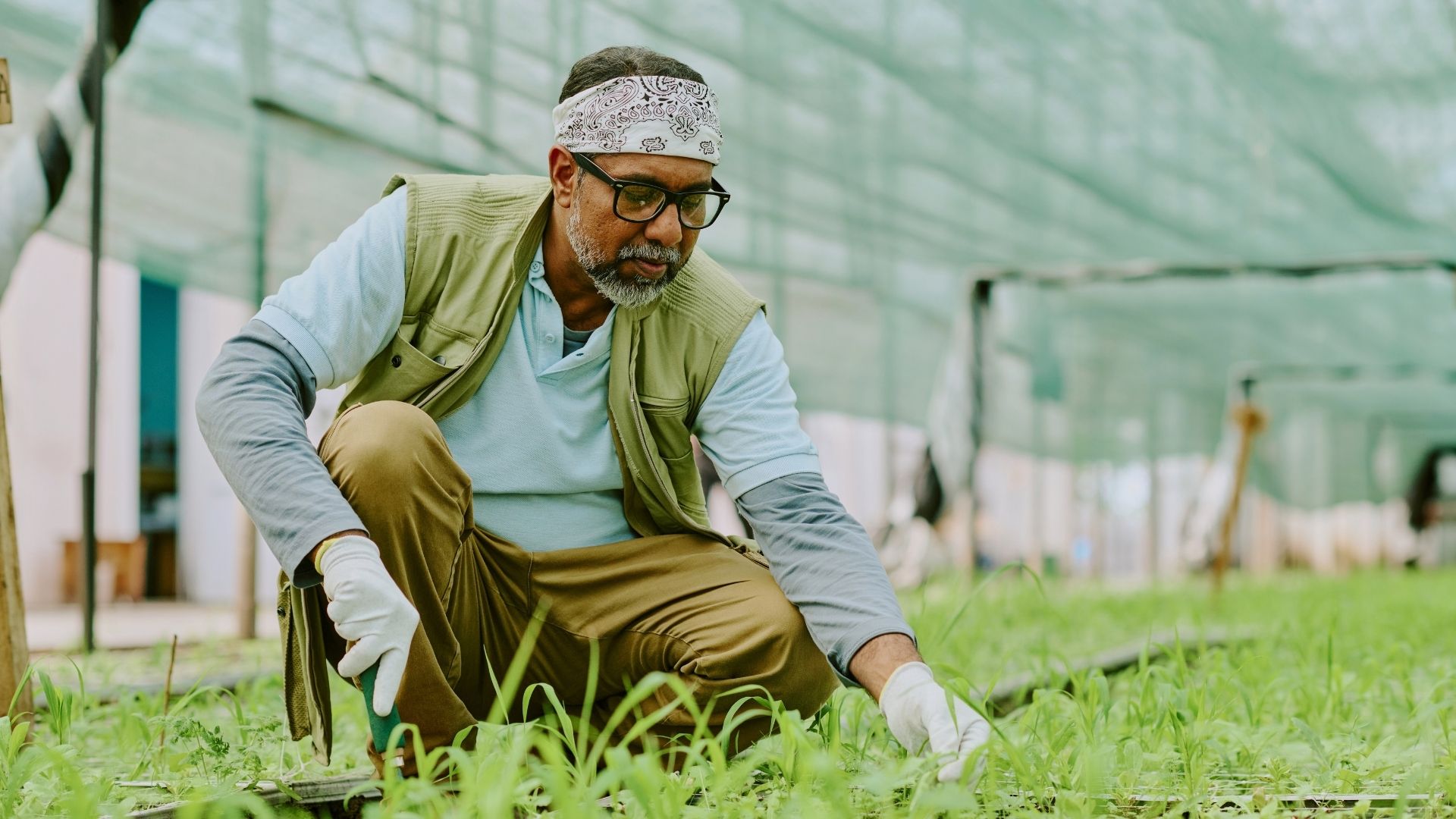 For Corporate Farms and Agribusinesses: Scale and Efficiency