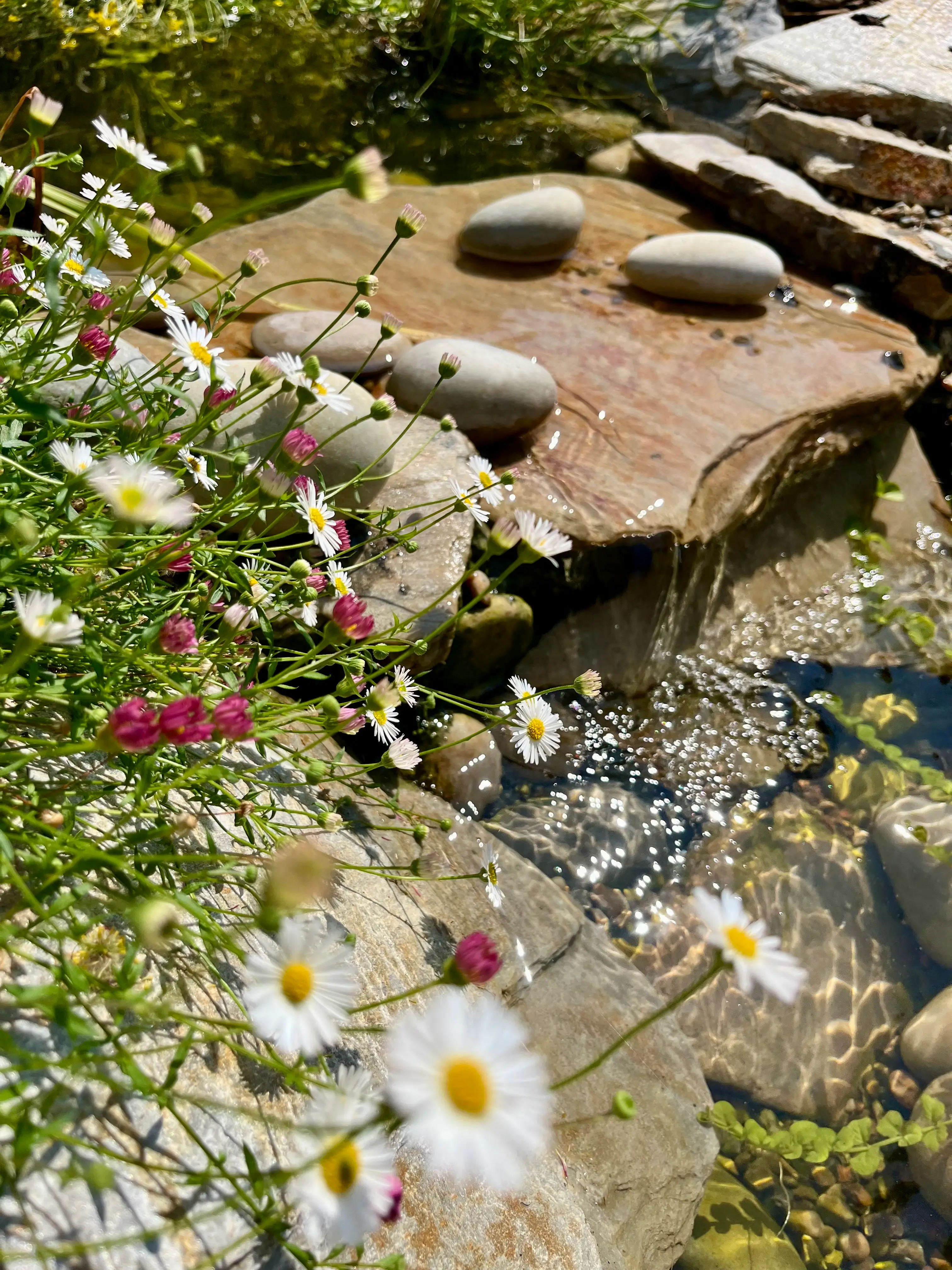 A serene garden scene with stones, flowers, and lush greenery, creating a tranquil, natural landscape.