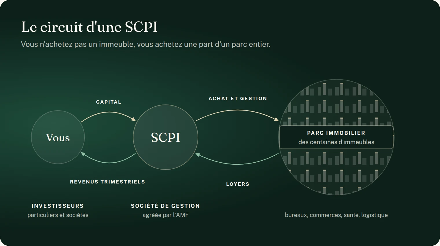 Schéma : le circuit d'une SCPI. Les investisseurs, particuliers et sociétés, apportent du capital à la SCPI, gérée par une société de gestion agréée par l'AMF. La SCPI achète et gère un parc immobilier de plusieurs centaines d'immeubles : bureaux, commerces, santé, logistique. Les loyers remontent à la SCPI, qui verse des revenus aux associés chaque trimestre.