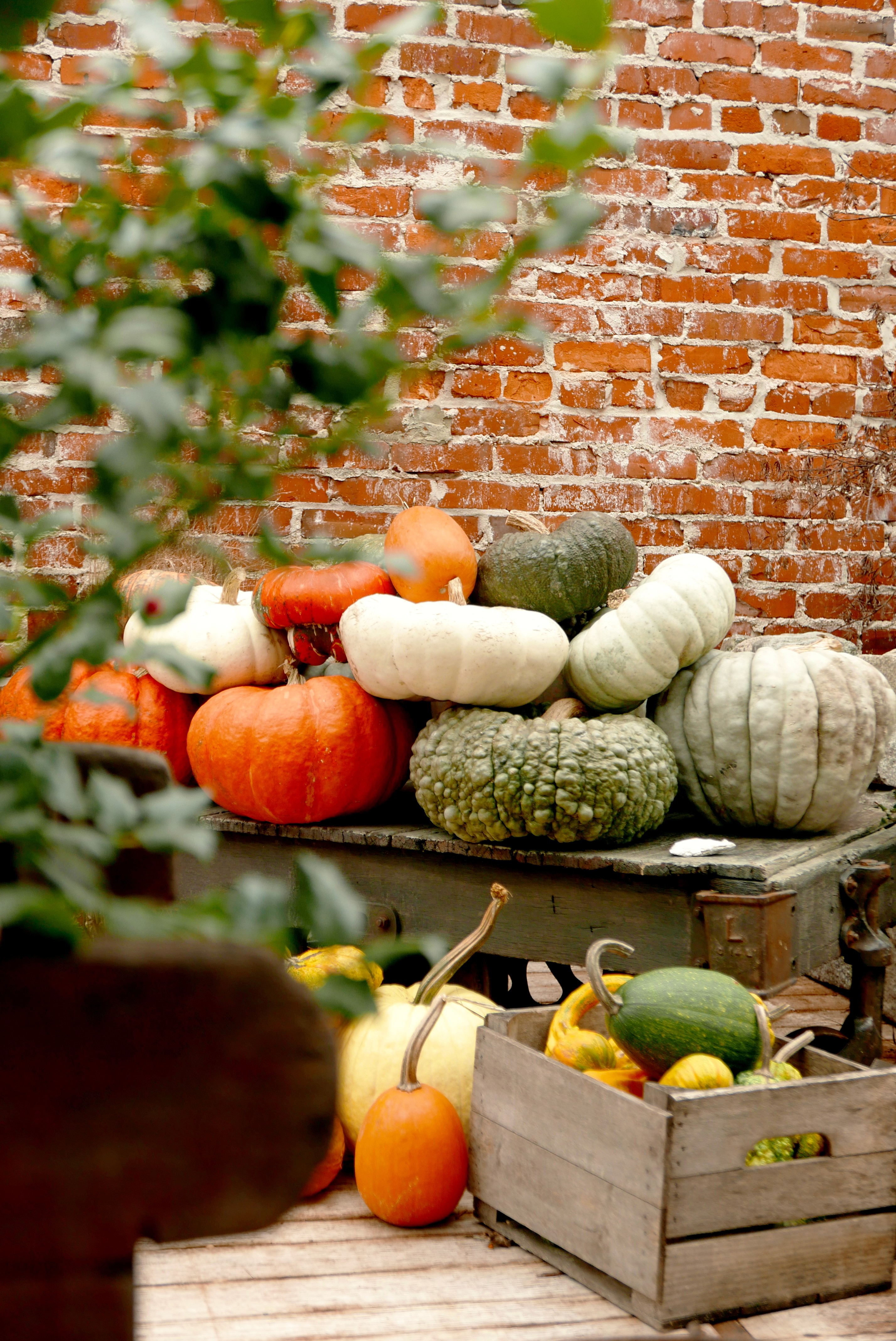 In-store photography of various products inside of virginia based concept store Ivy & Rye. 