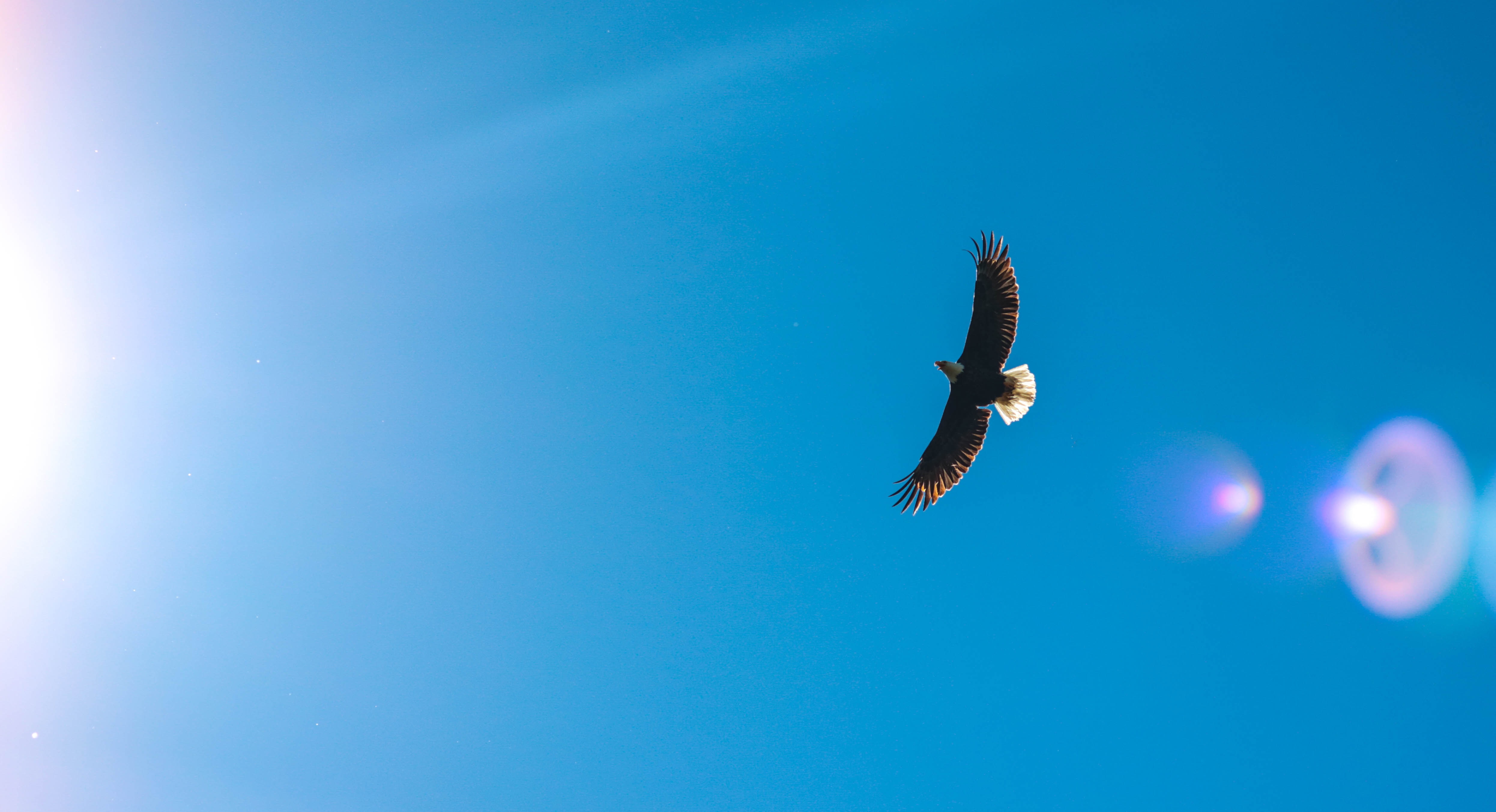 A bird's eye view of the big picture helps plan strategy