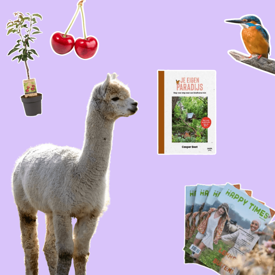Gift Guide buitenmens