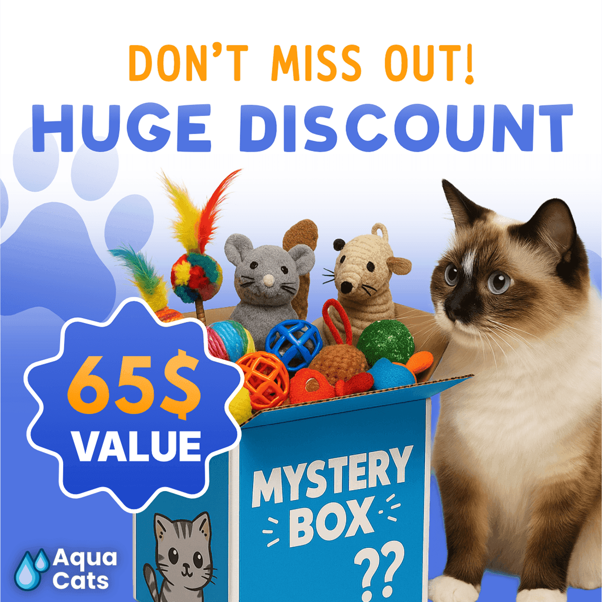 AquaPaws Advertisement Design — image 7