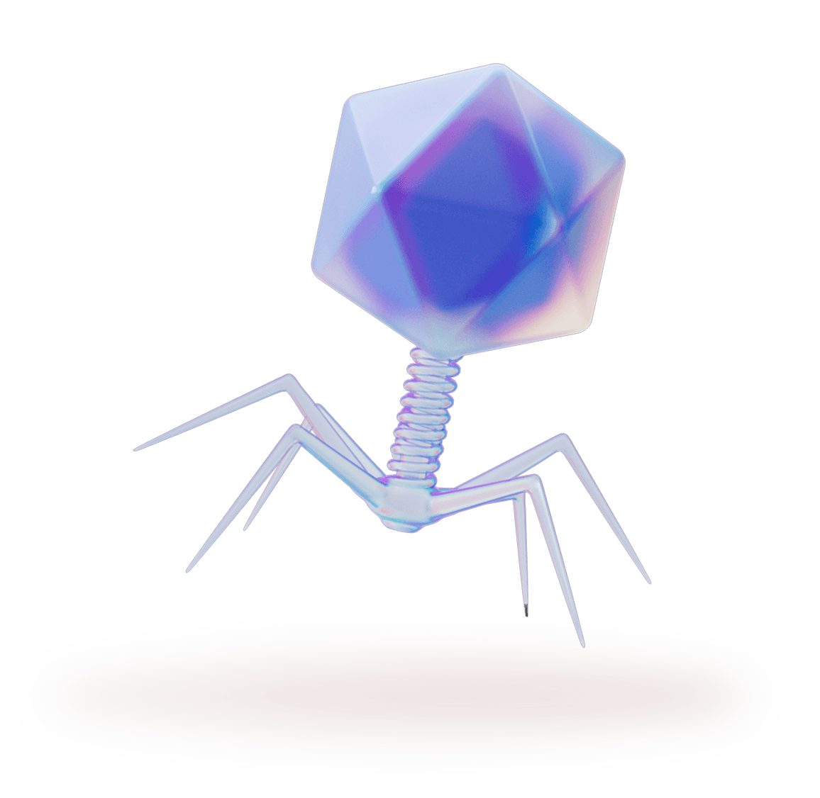 phage