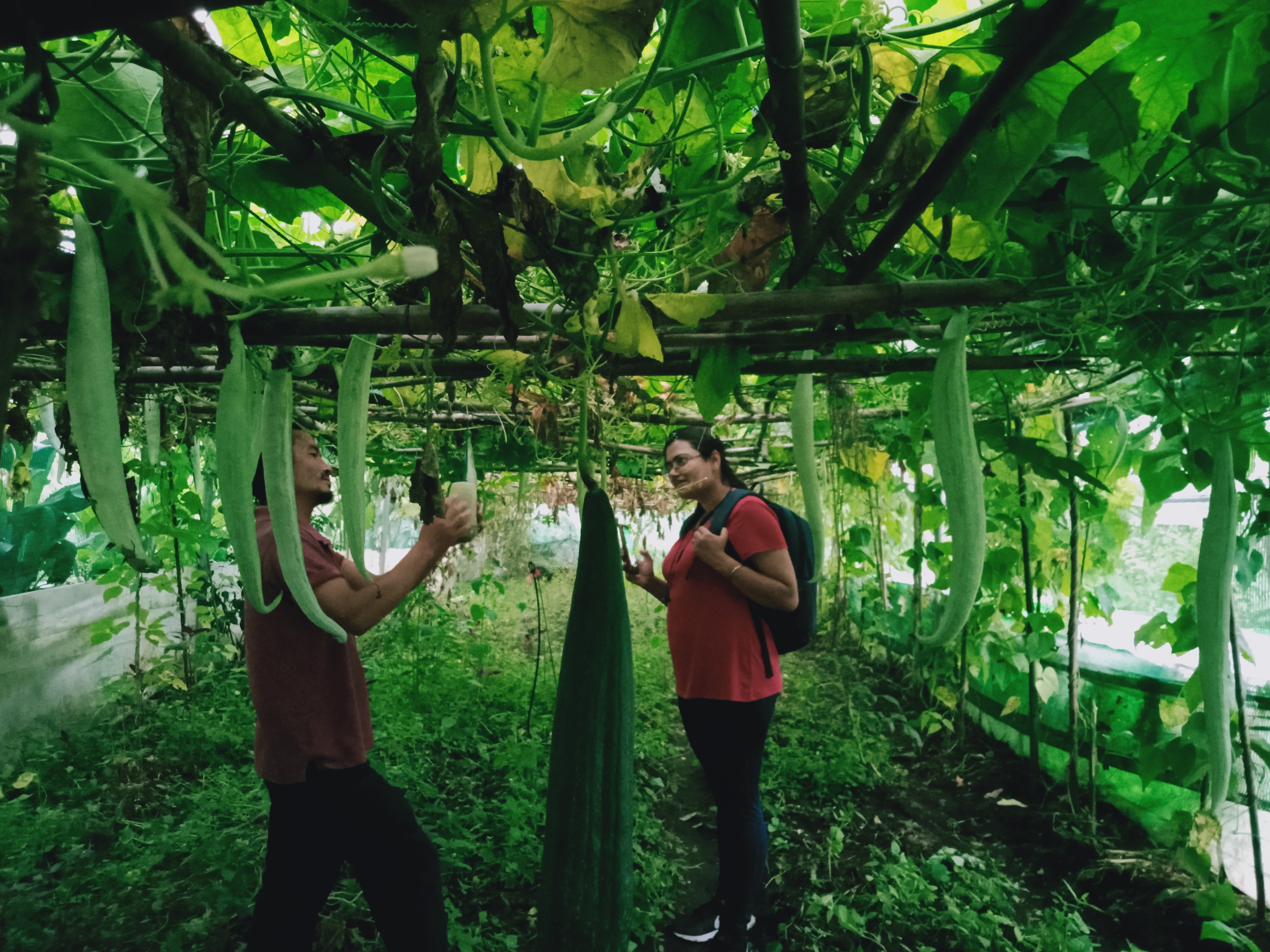 Sample image from a project