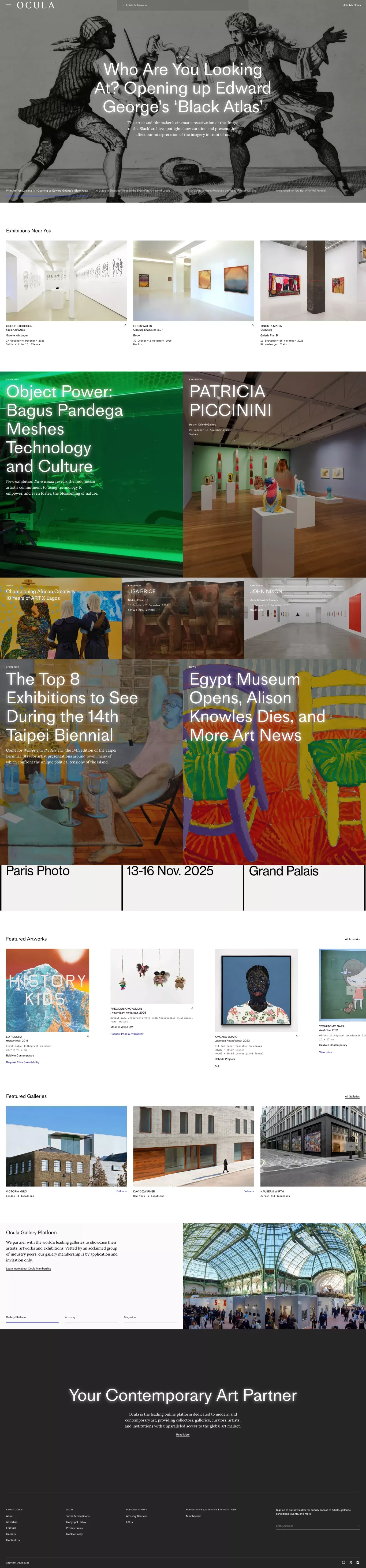 Ocula other page screenshot showcasing Art and Local Business design