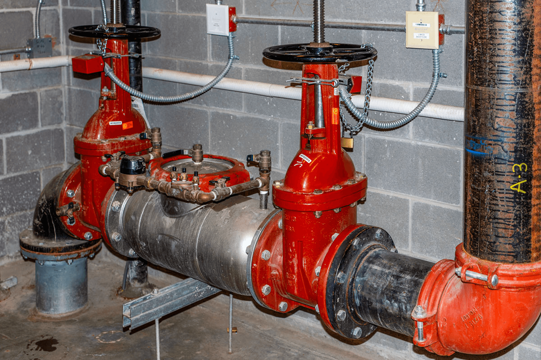 Backflow Testing