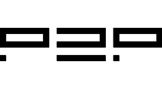 Investor