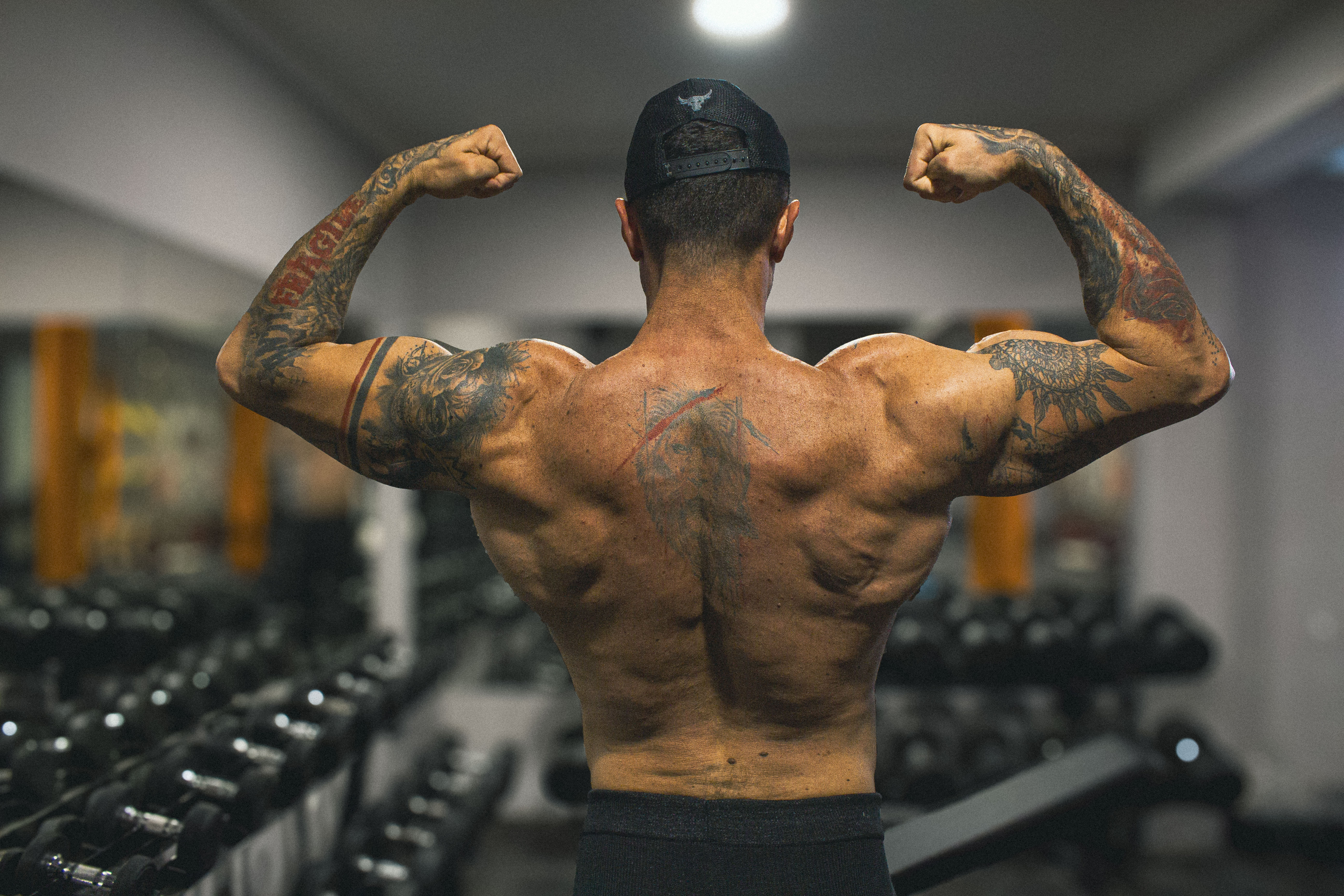 muscular back image fit mentor