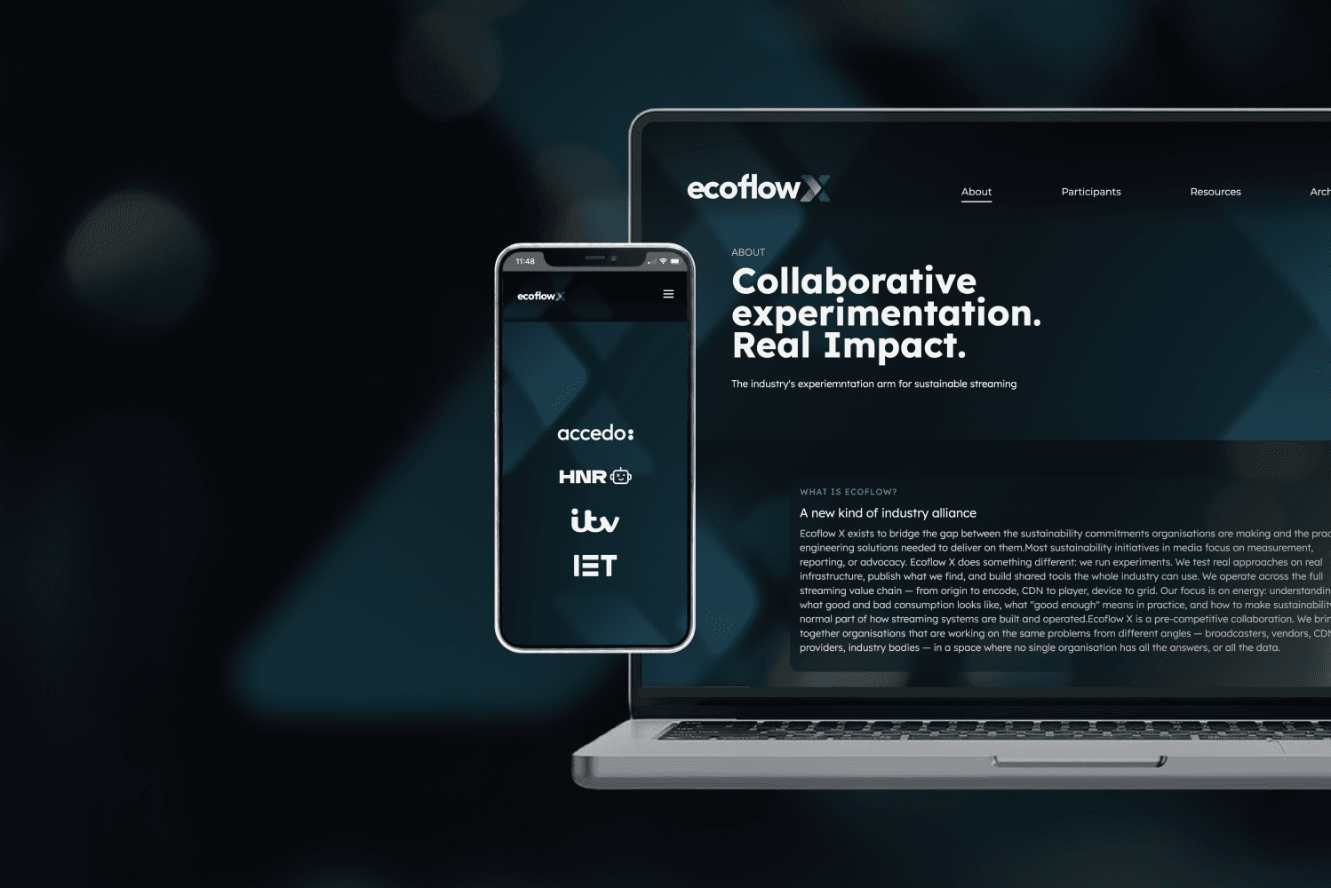 Ecoflow website design