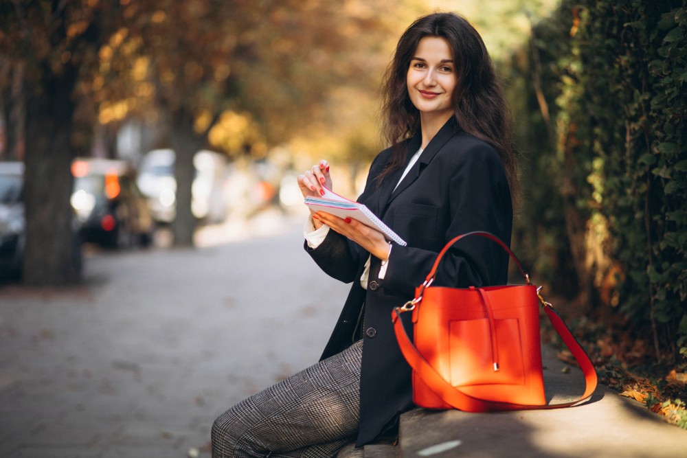 Handbag