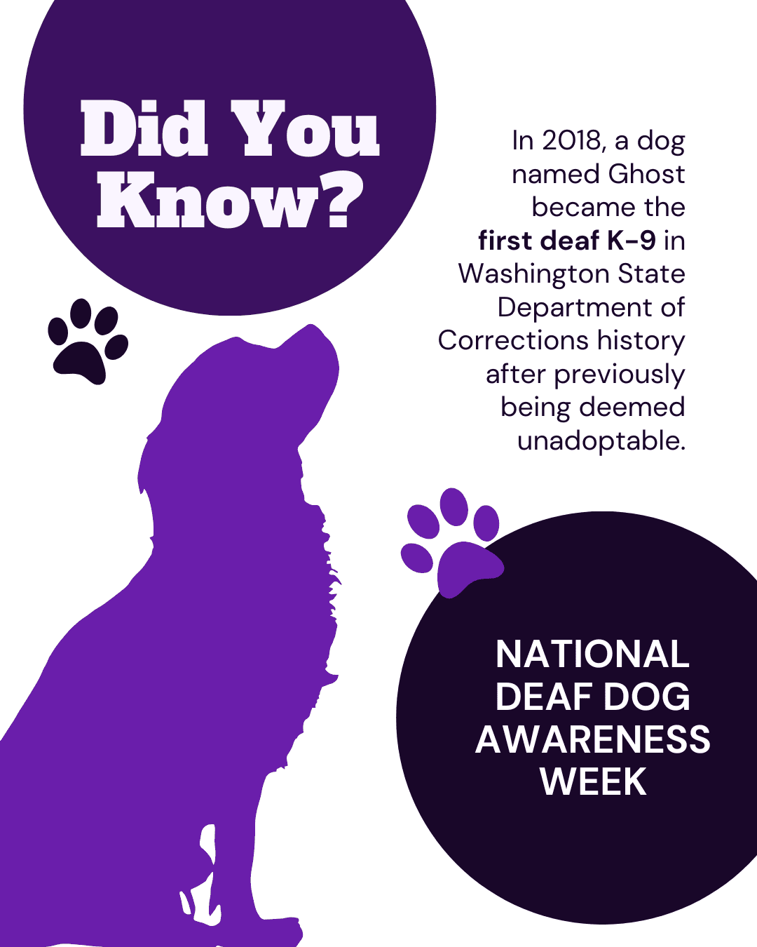 Deaf Dog Awareness Week