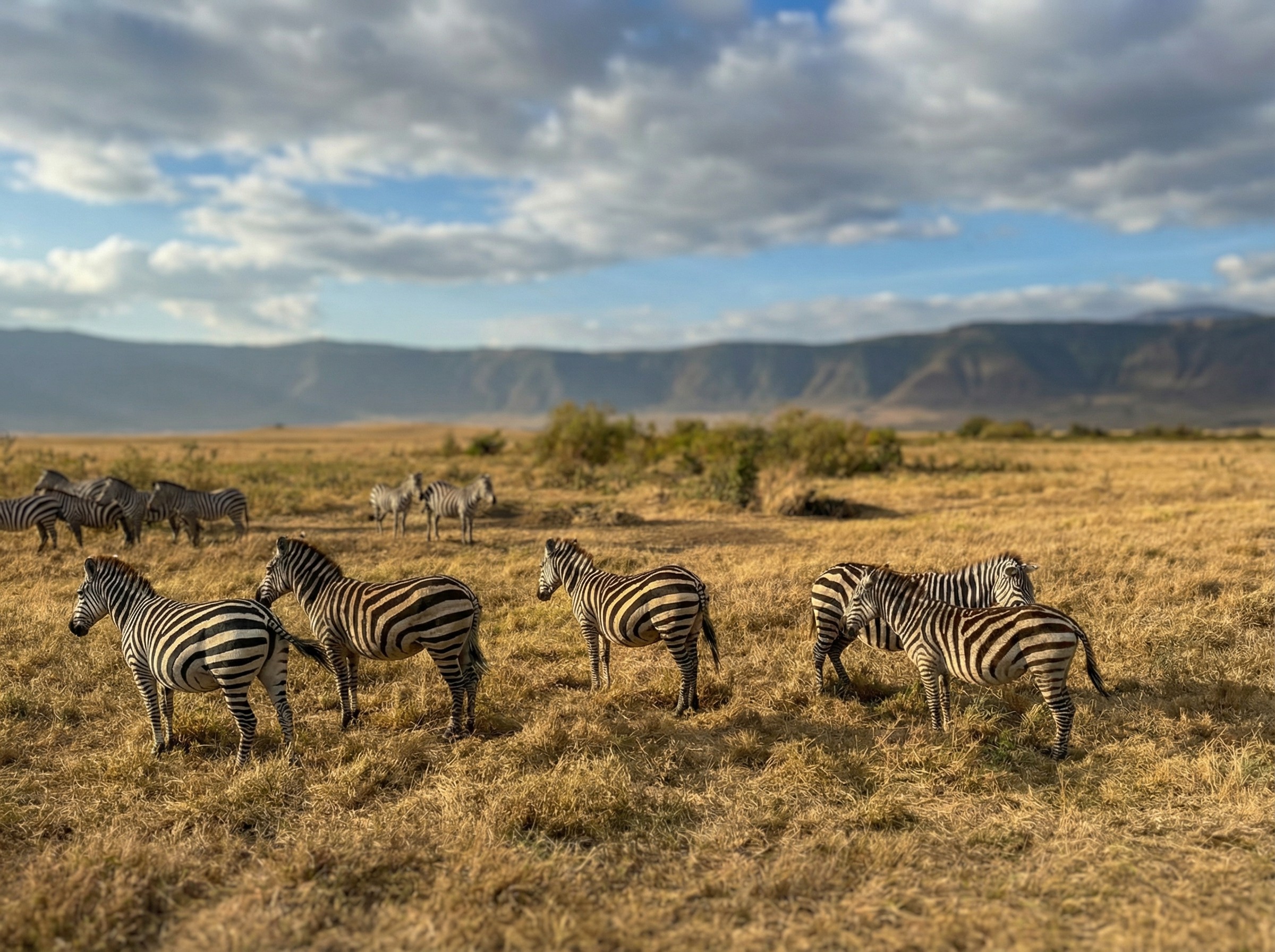 Traveler exploring narrow sandstone canyon illuminated by warm desert light in AlUla.