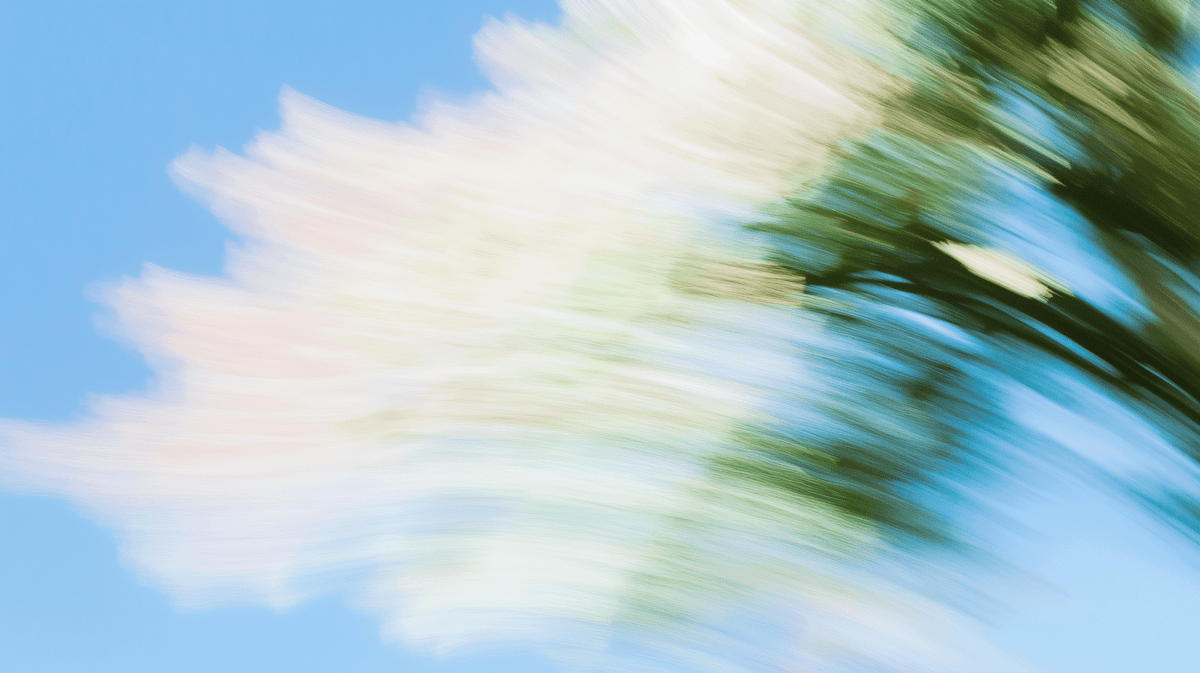 Motion-blurred white flower with green stem against a blue sky
