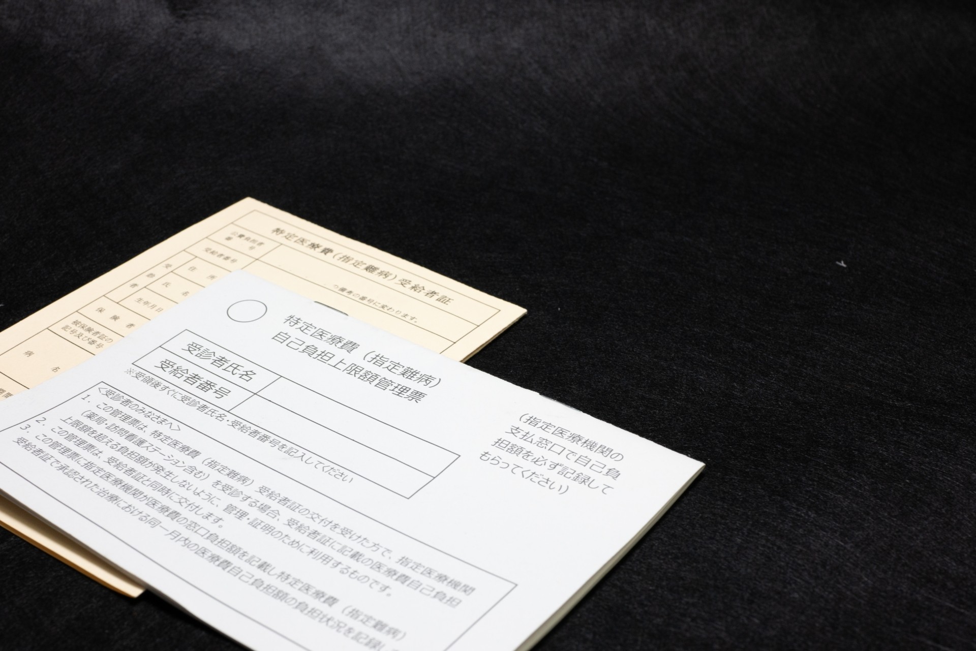 特定医療費（指定難病）受給者証｜ALSの患者が申請して受理された場合に受け取ることができる