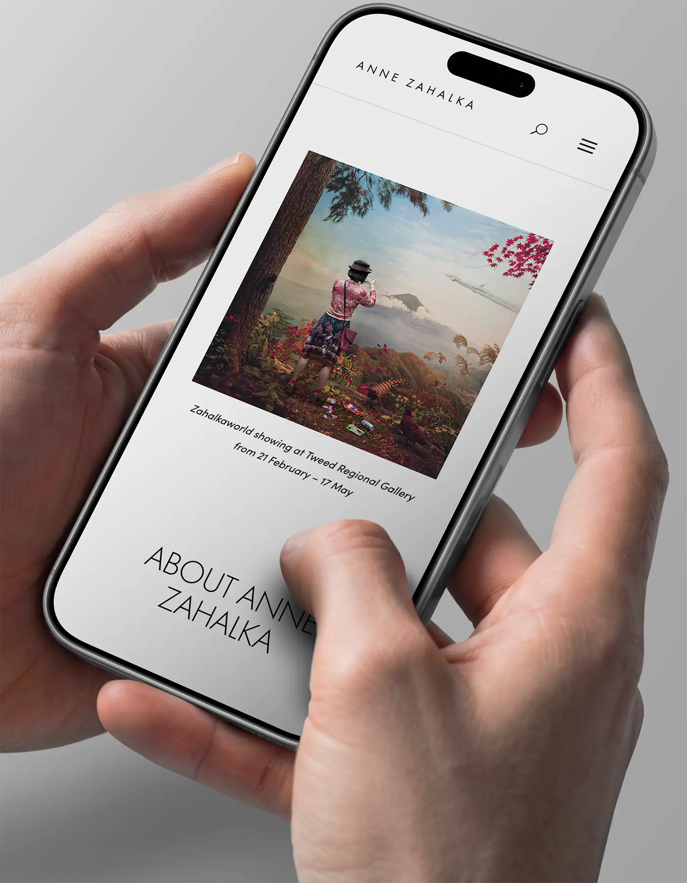 Anne Zahalka Wordpress website design featuring UX/UI design.