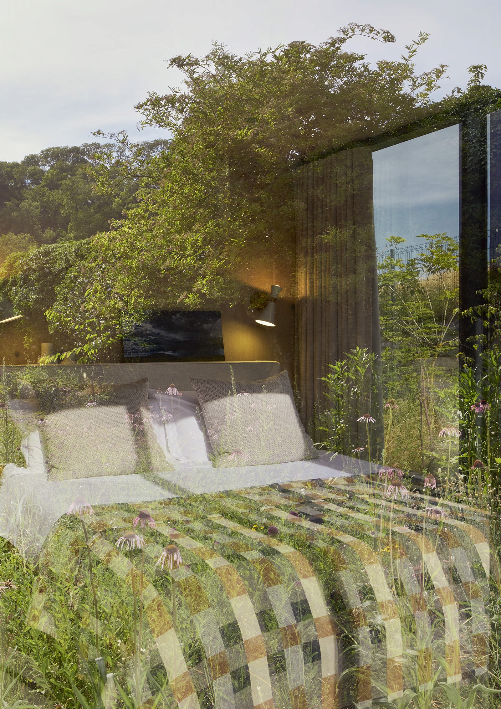 Naturally lit homestay room with warm timber and garden views