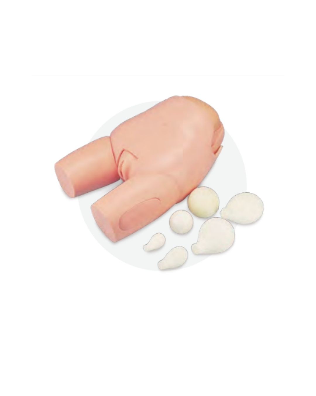 Advanced uterine fundus model