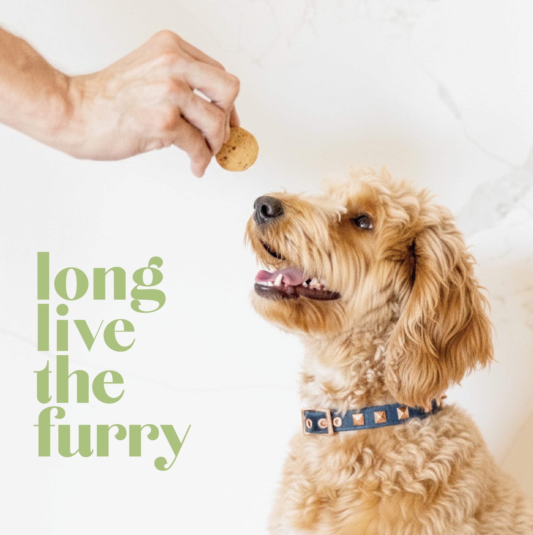 Stacked pink and red glass cosmetic jars on white—minimal skincare packaging display.