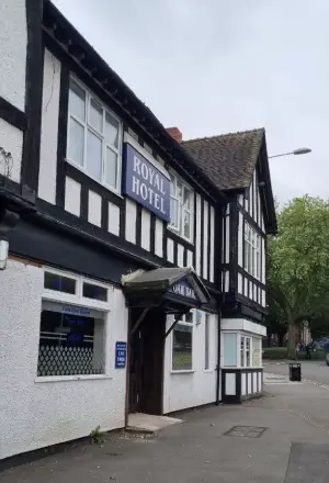 Flying Insects Control Walsall