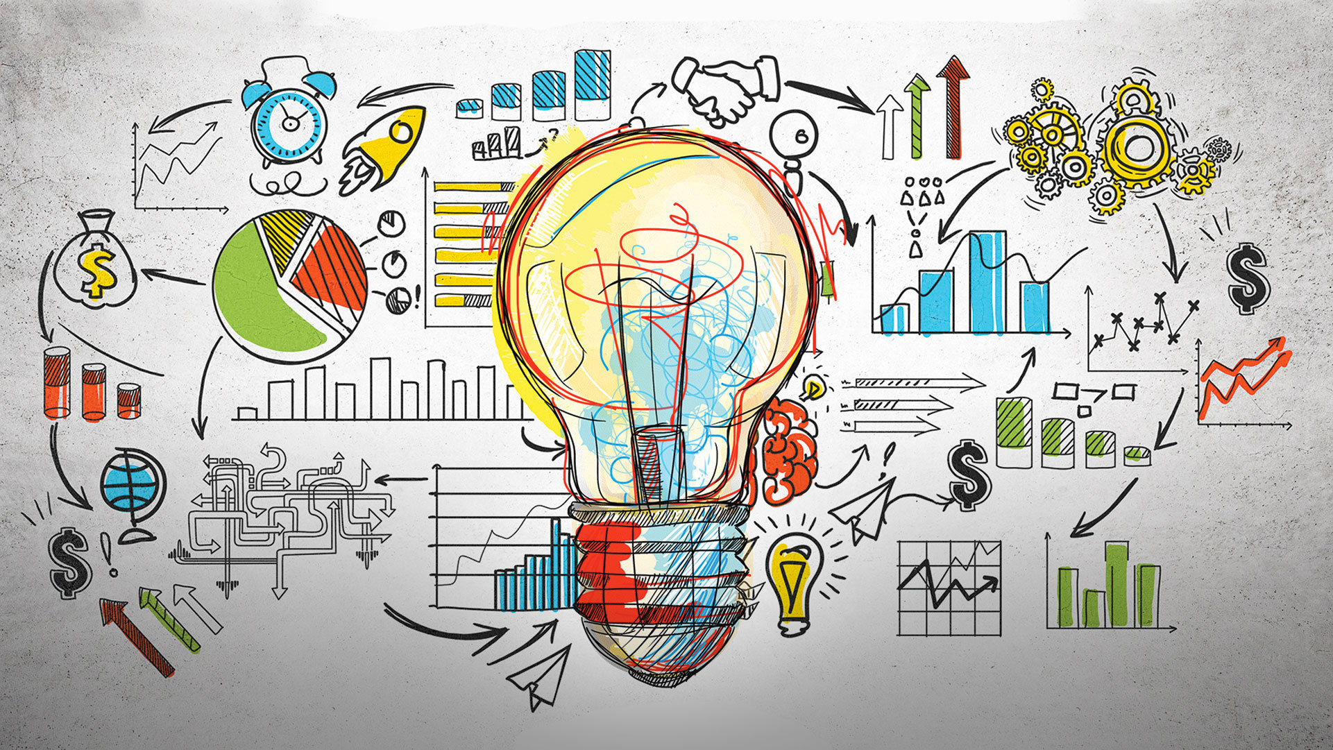 Portrait of portfolio creator – back view