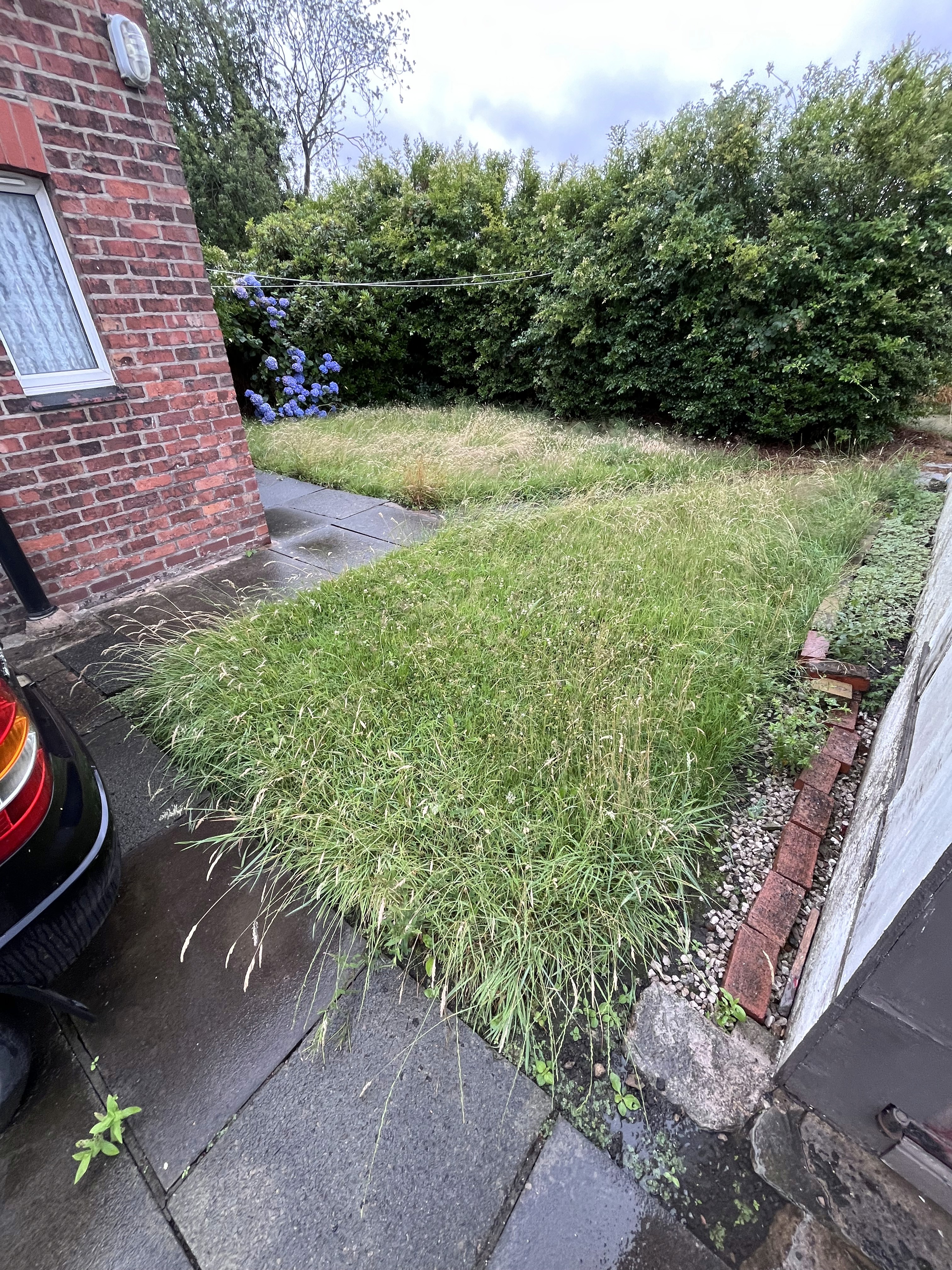 Garden Tending before