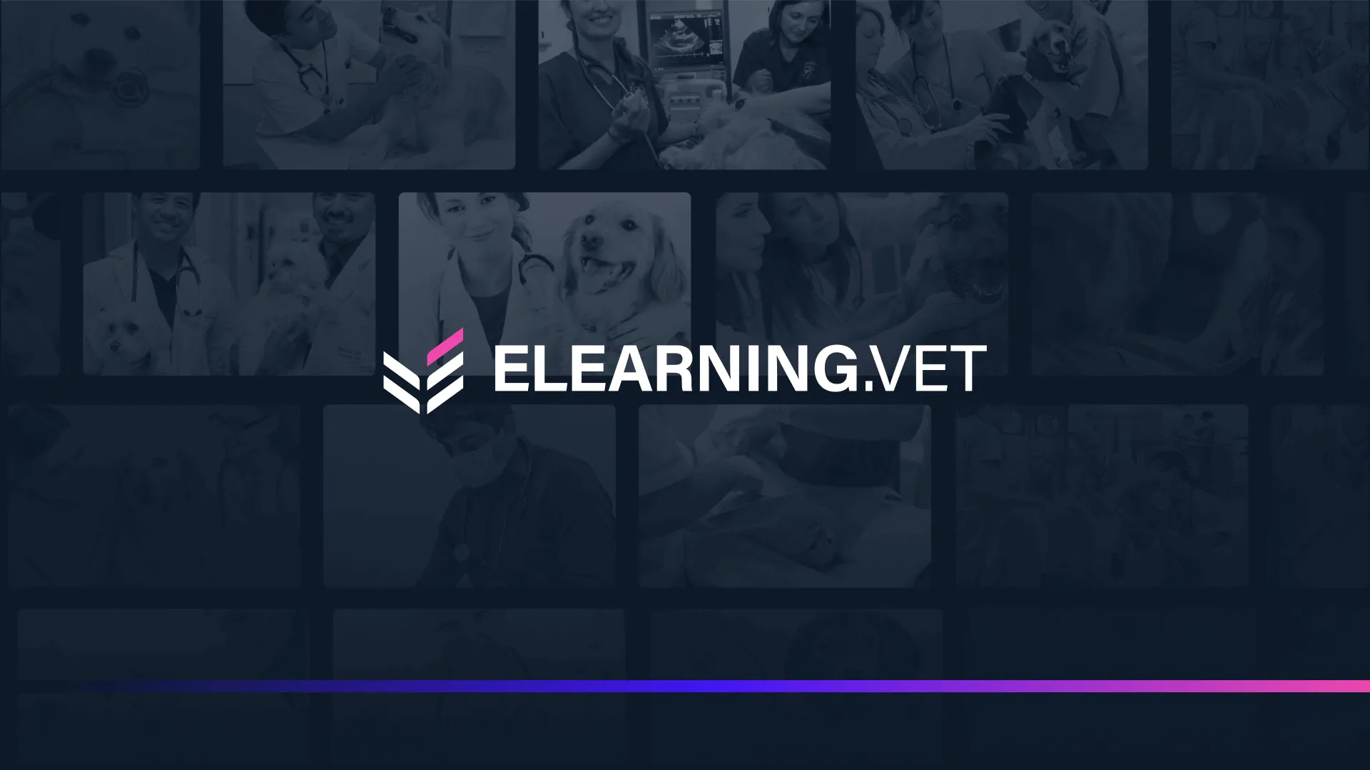 ELEARNING.VET project results and key information from the completed creative project