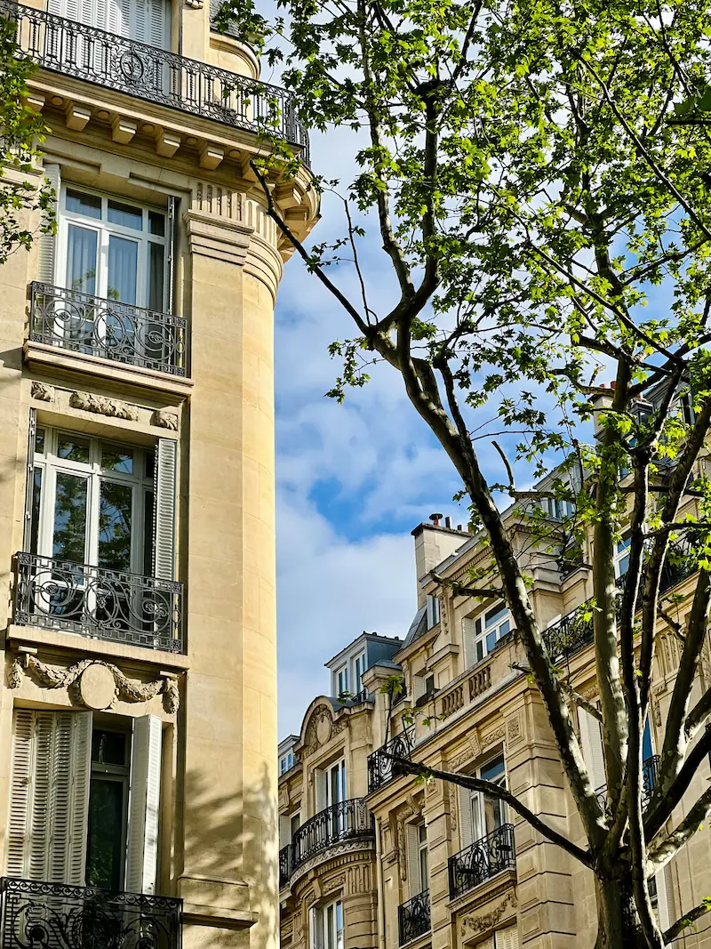 Immeuble haussmannien parisien bordé d'arbres au printemps