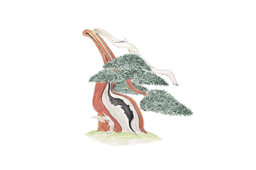 tekening van een bonsai boom