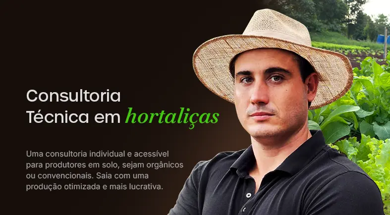 Banner de divulgação da Consultoria Técnica em Hortaliças com foto do especialista Paulo Fenato em frente a uma plantação.
