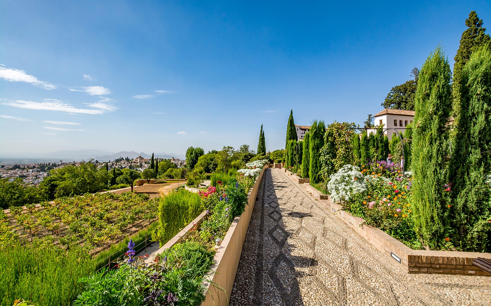 在西班牙格拉纳达的阿尔罕布拉宫，您可以欣赏到城市美景的花园小径。