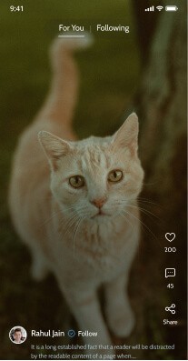 Pet food store website design