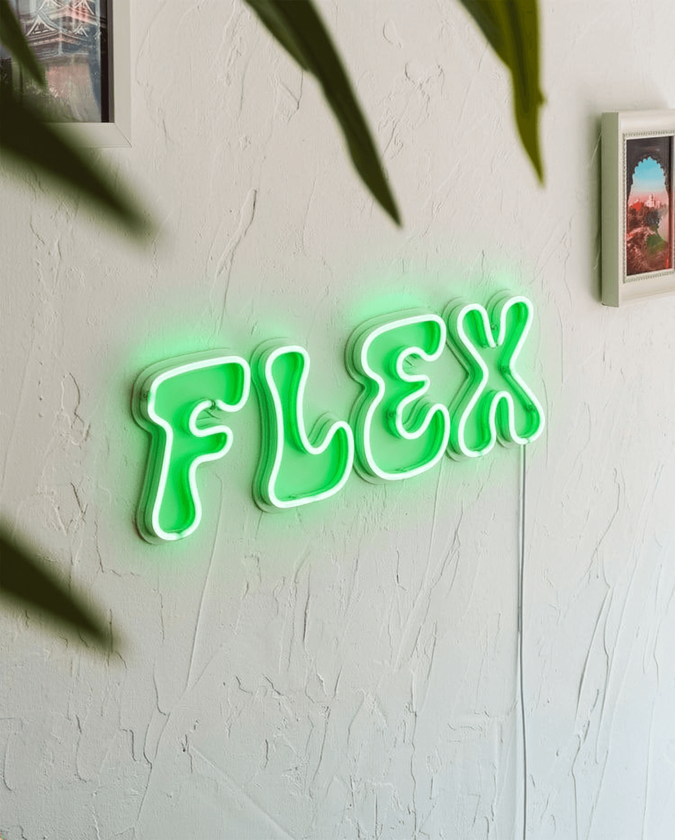 enseigne néons led flex