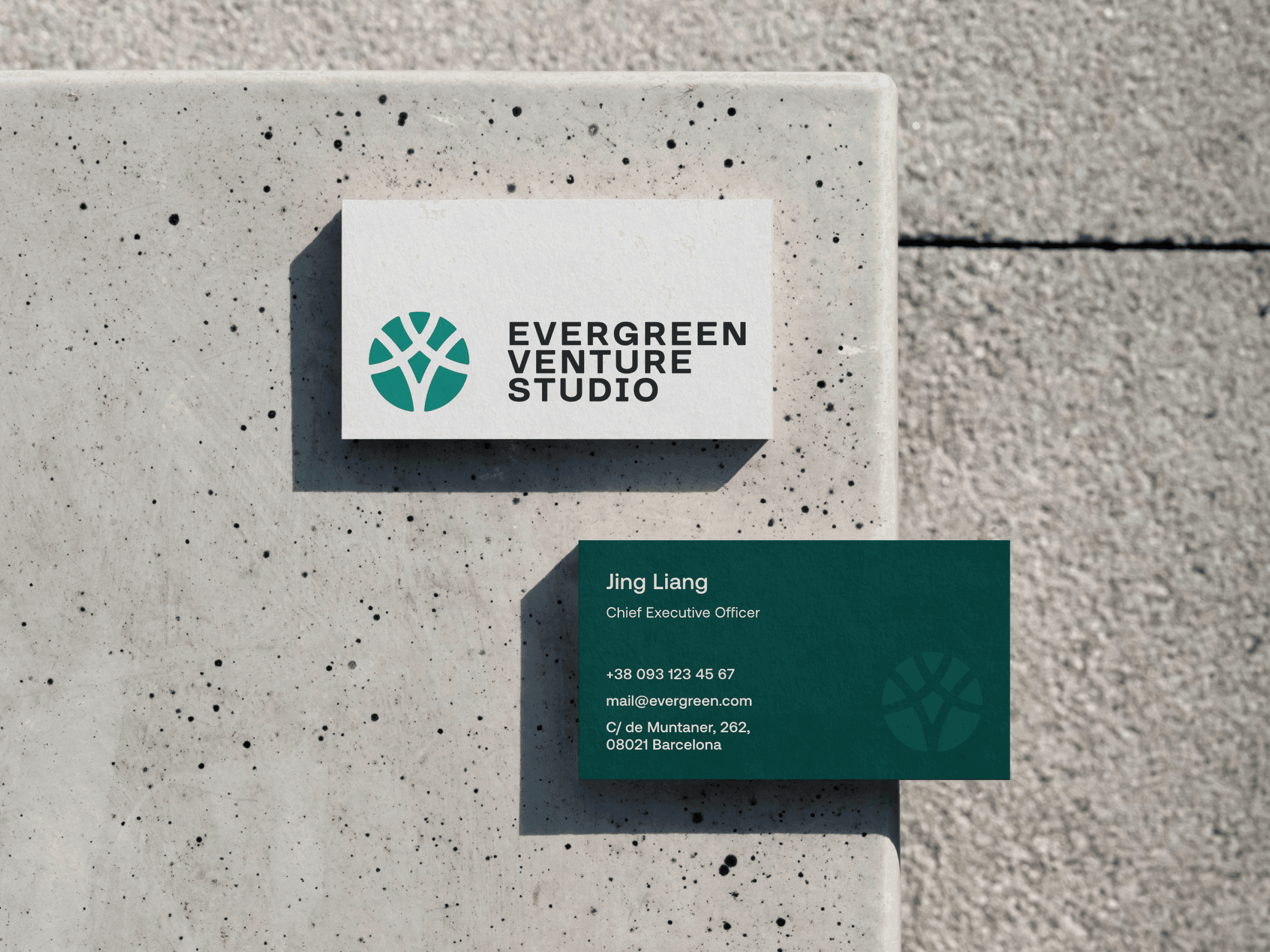 Evergreen Venture Studio business cards on a concrete surface, highlighting professional branding and high-quality print materials.