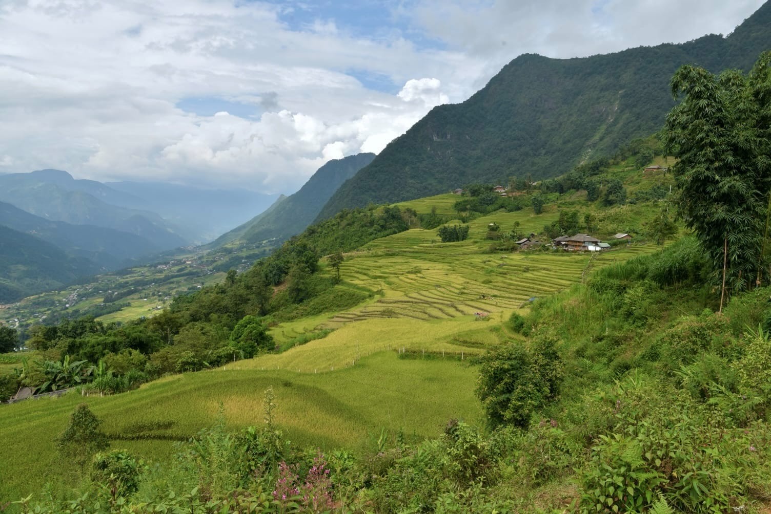Rice terraces in Muong Hoa Valley near Sapa, with traditional village houses and terraced fields stretching across the hillside.