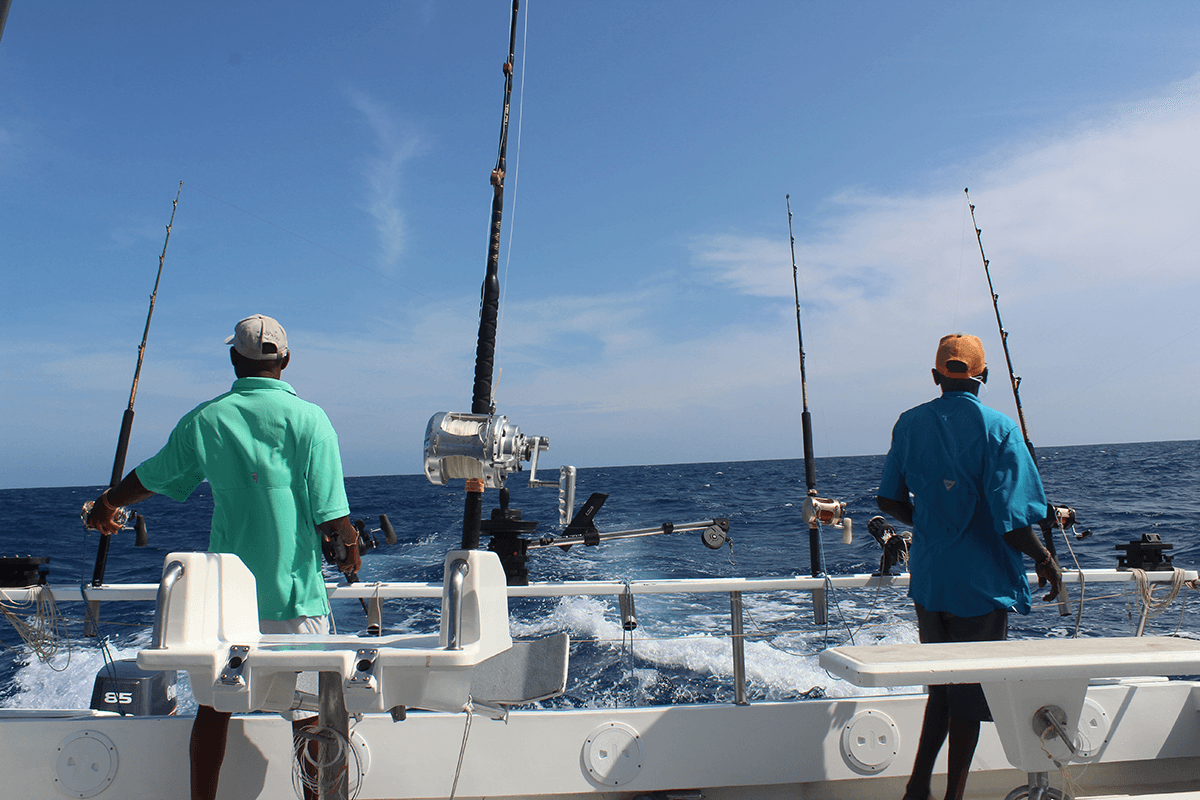 Bellevoire hotel location