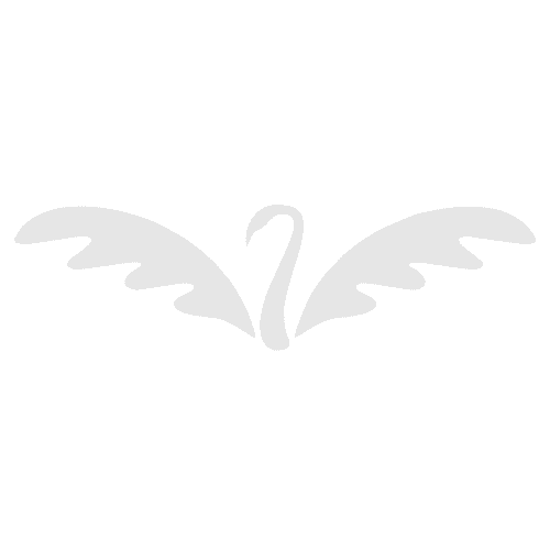 Logo Company