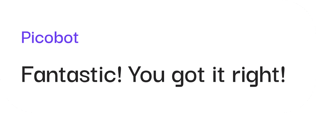 PicoBot conversation