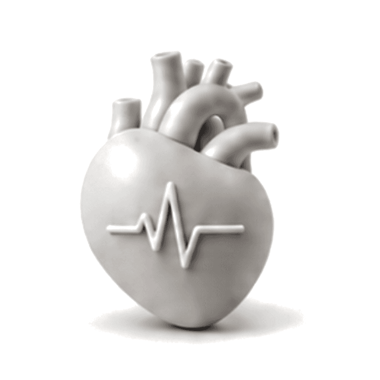 Illustration of a heart