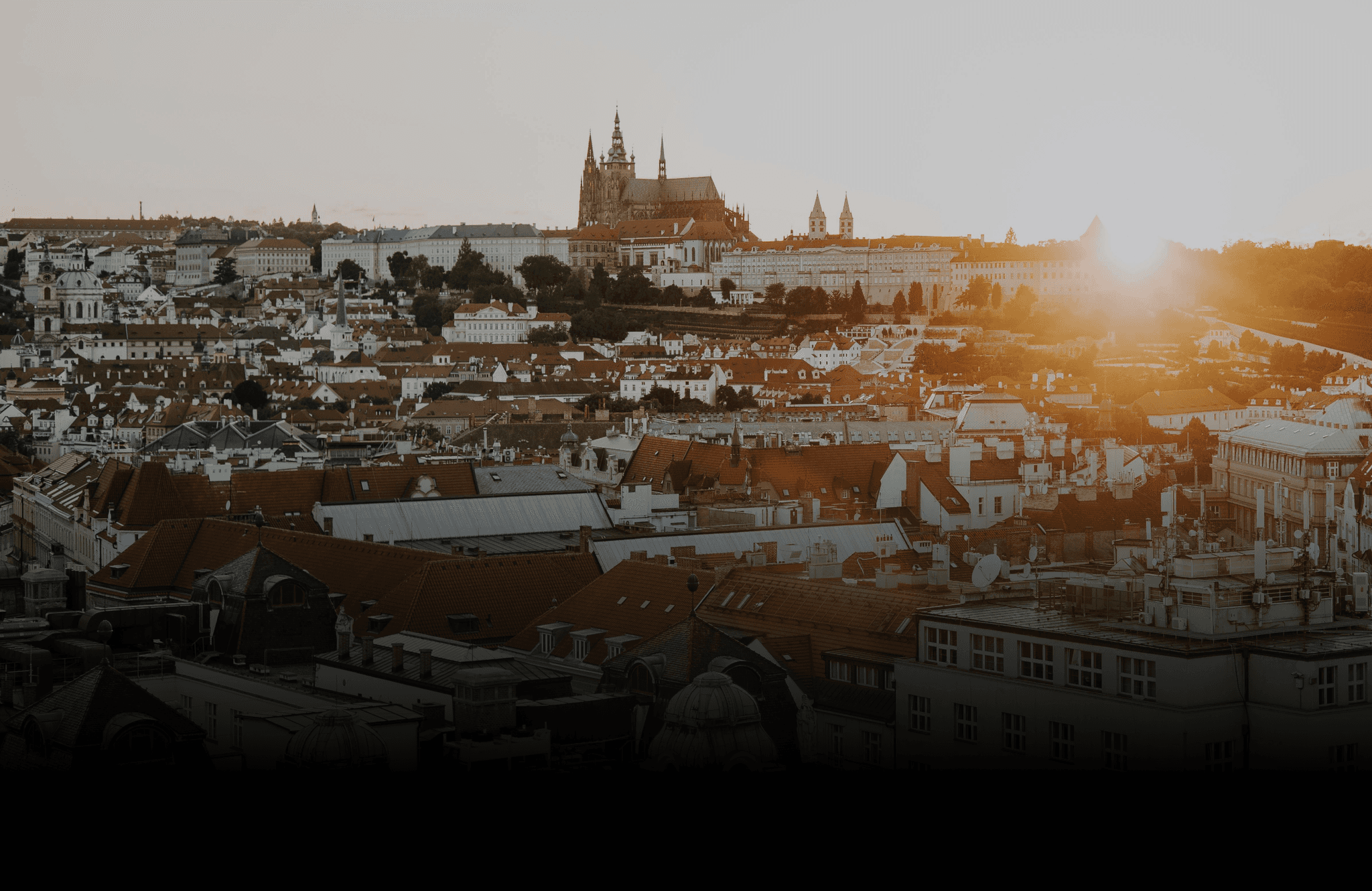 tuza Studio Praha – moderní weby a vizuální identity pro růst firem, již brzy