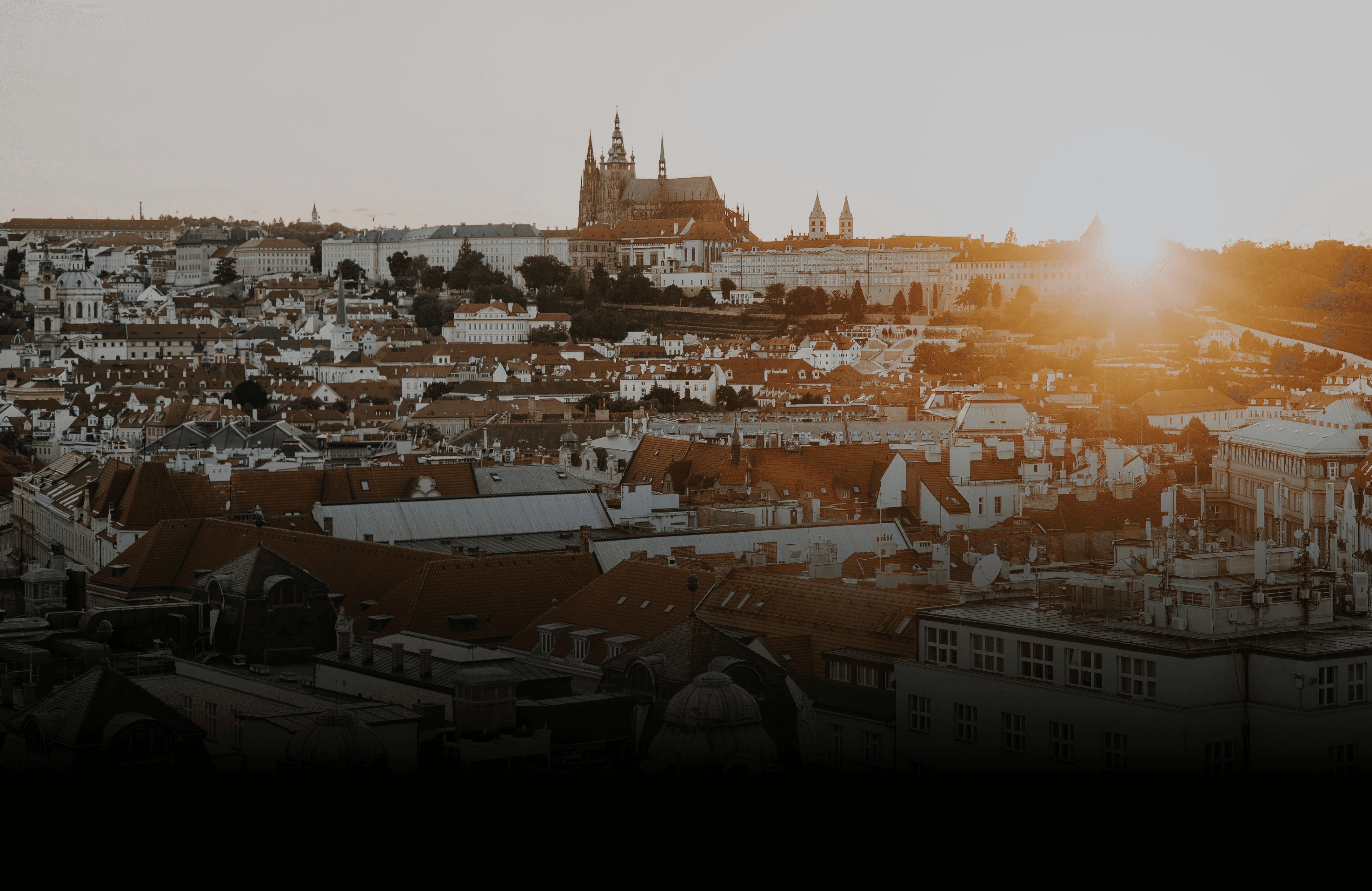 tuza Studio Praha – moderní weby a vizuální identity pro růst firem, již brzy