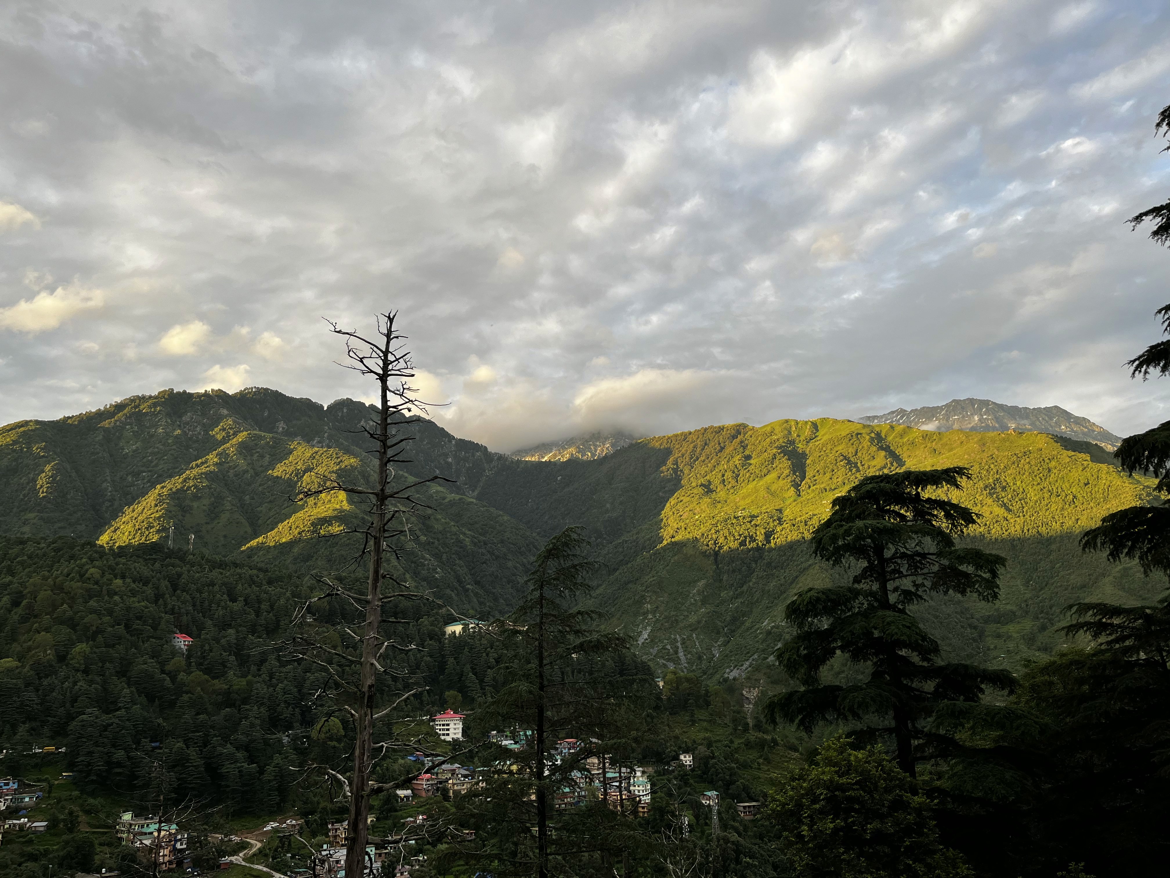 image of the view from a tent