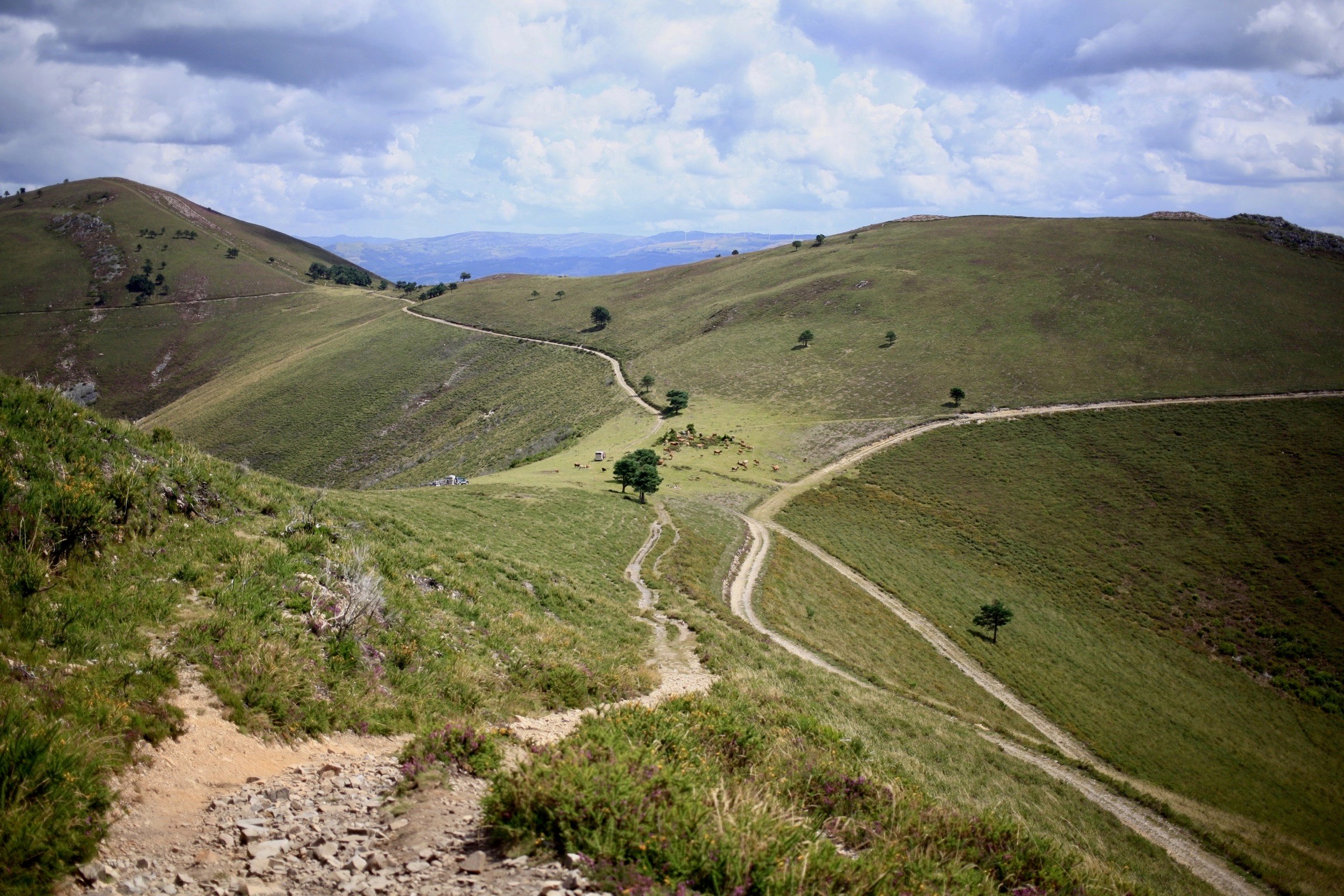 Aerial view of a winding road cutting through rocky terrain and sandy landscape.