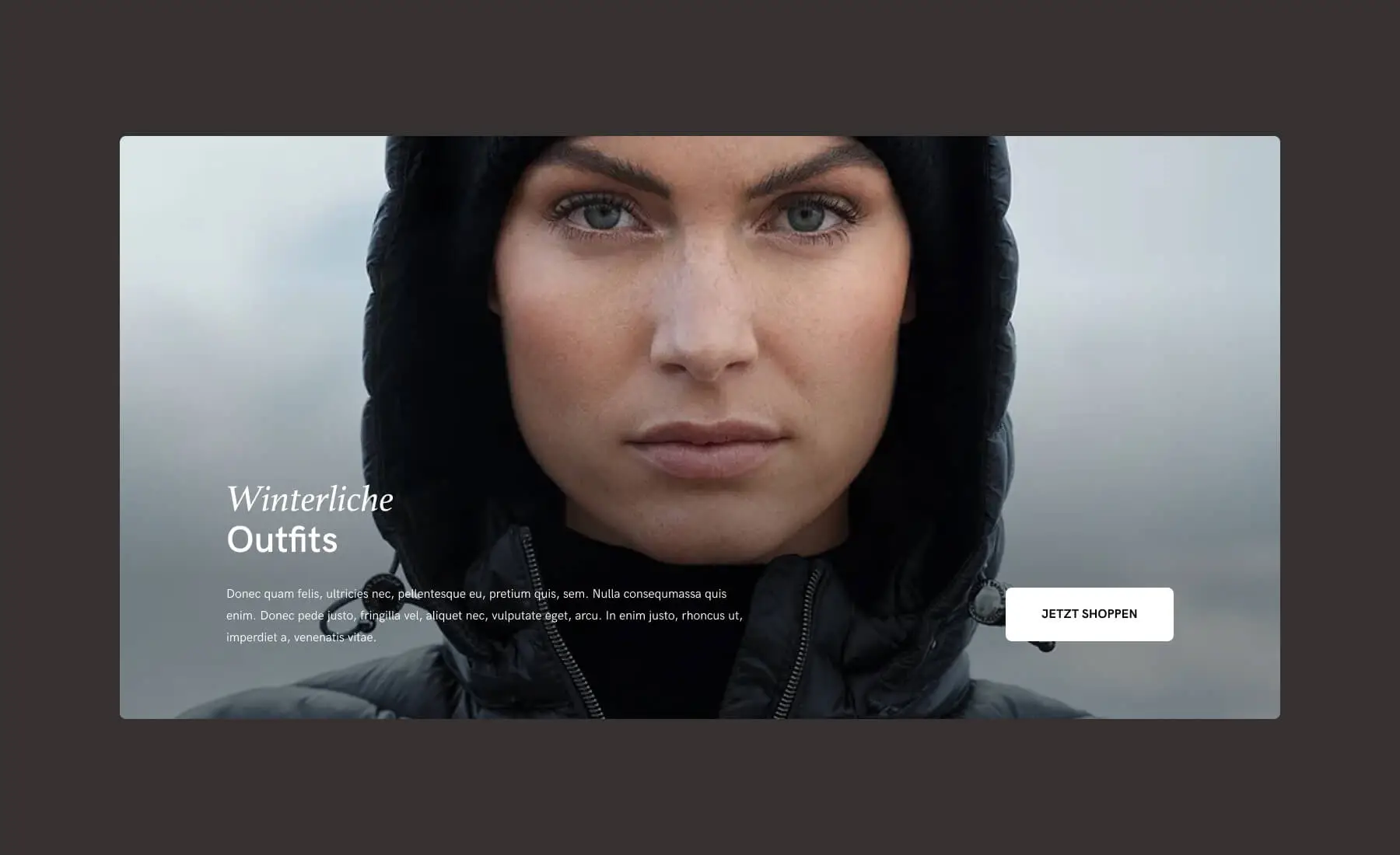Shopware Agentur