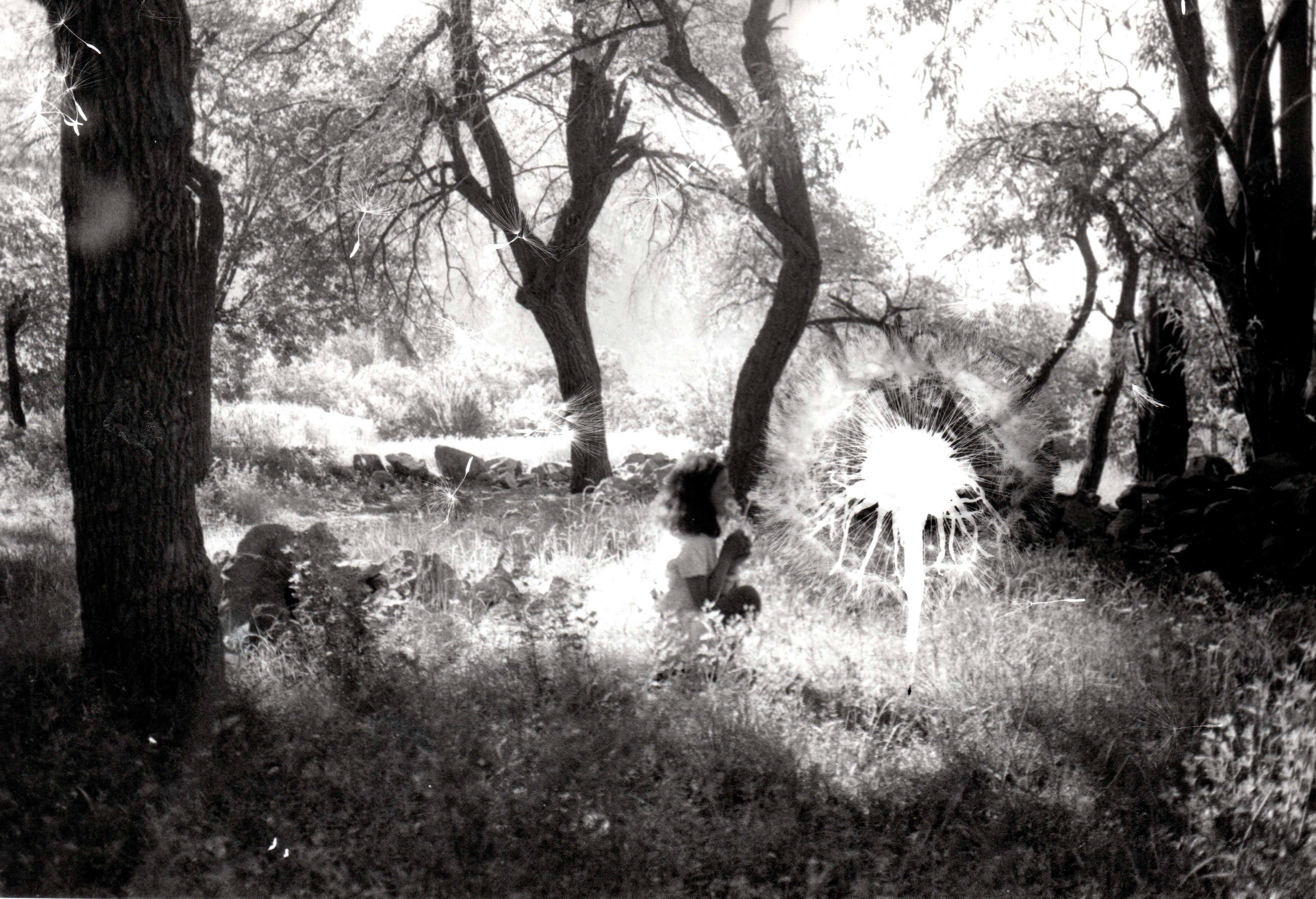 herd of sheep on road painting