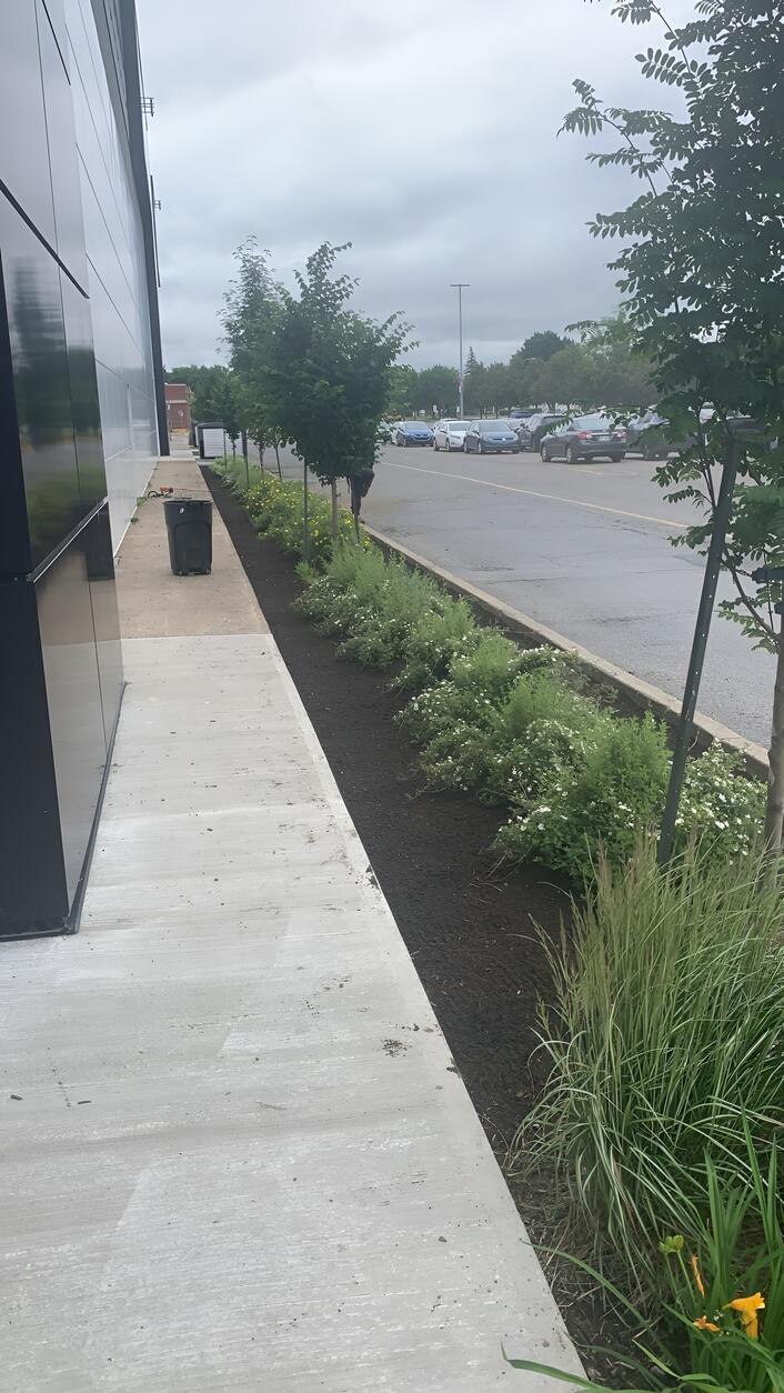 Allée en béton moderne bordée de végétation et d’arbustes taillés.