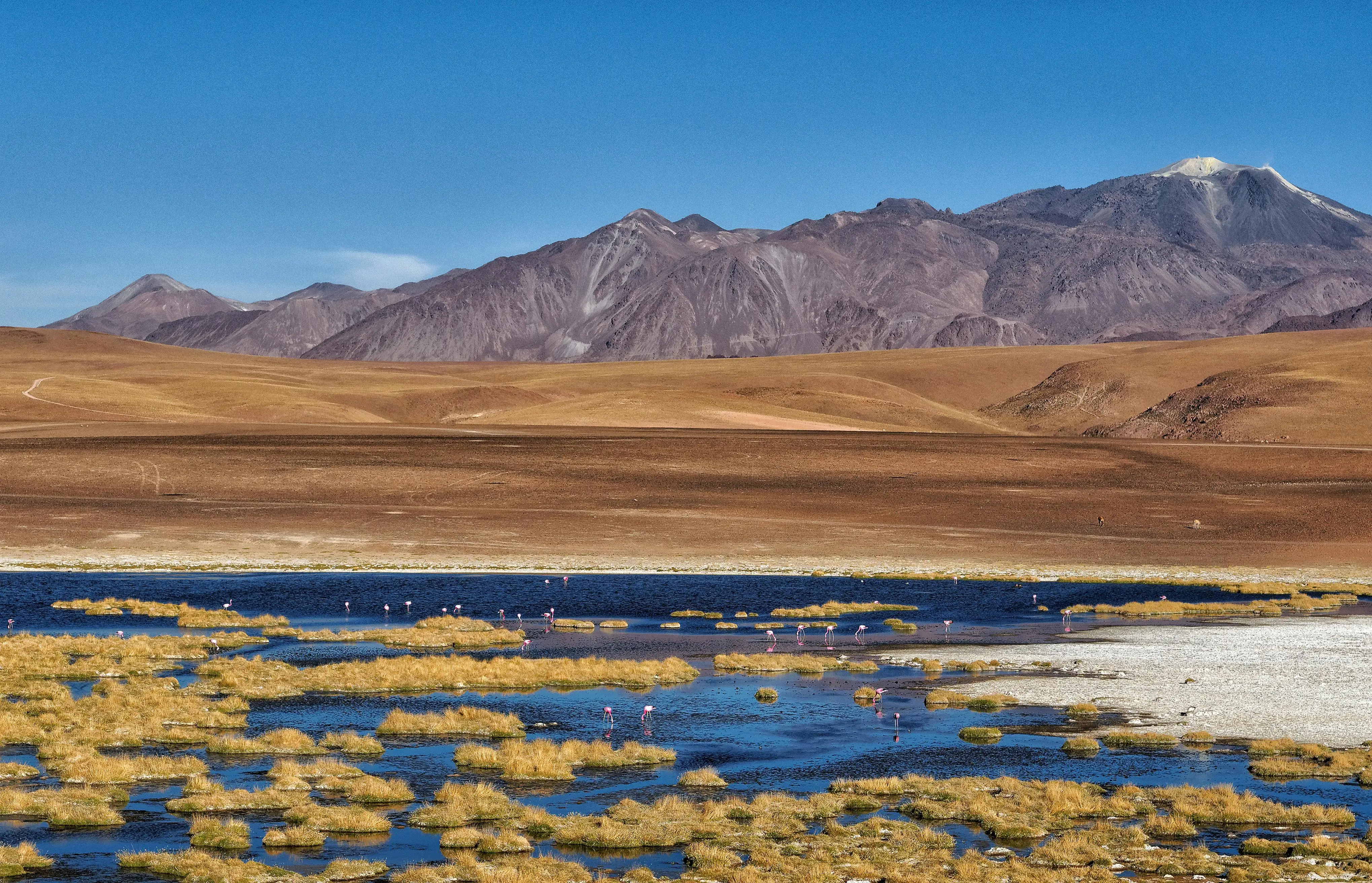 Chile landscape