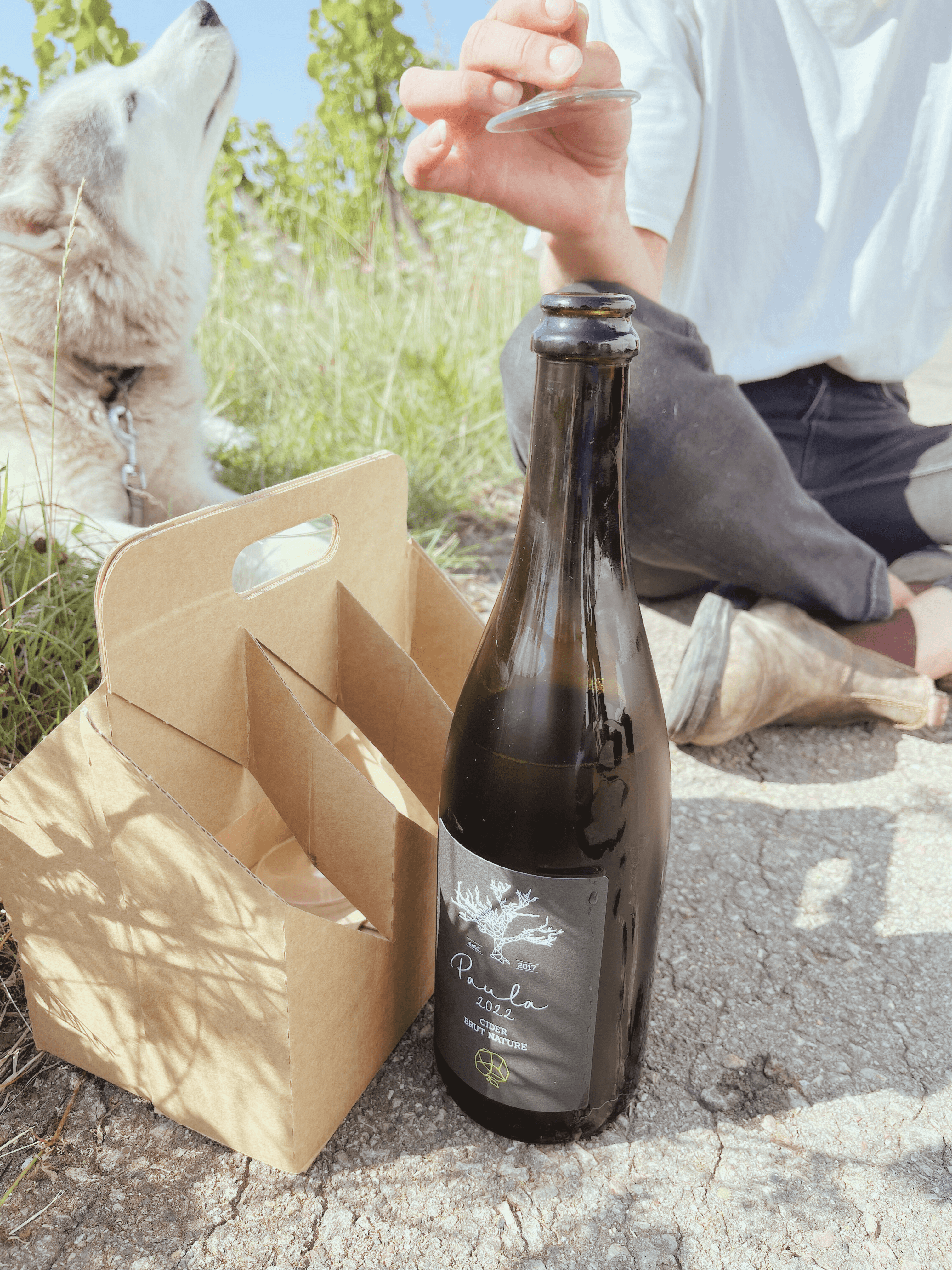 Paule Brut Nature